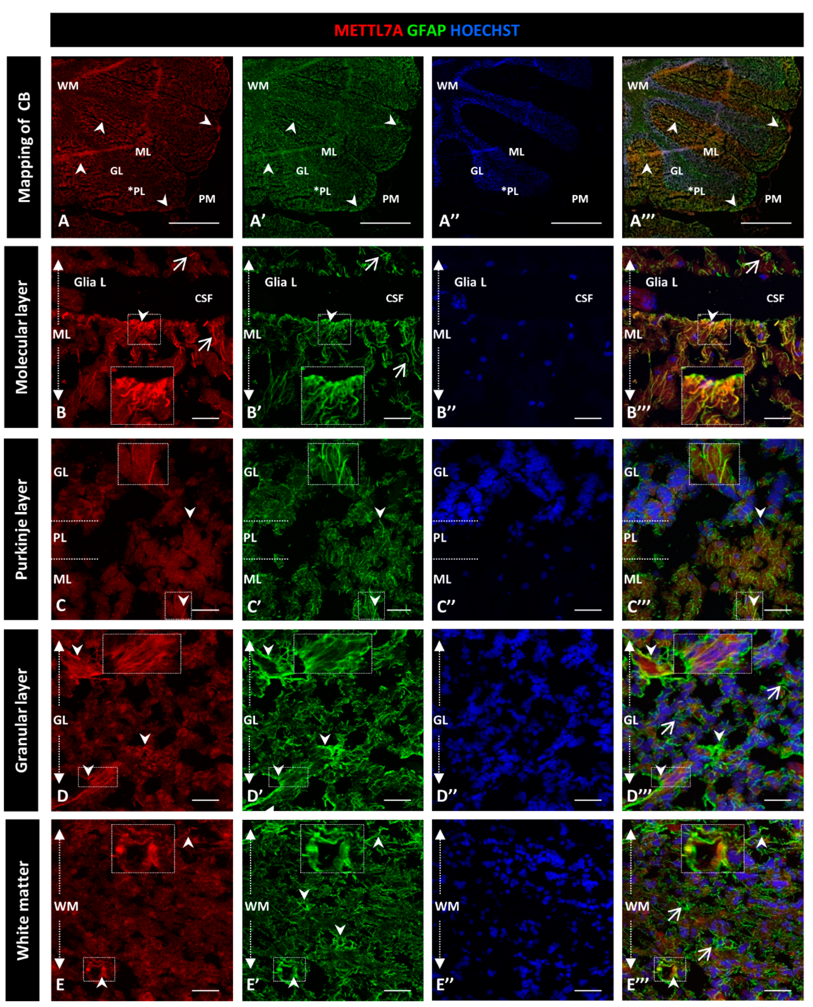 Ijms 24 08405 g002 Ijms 24 08405 g002