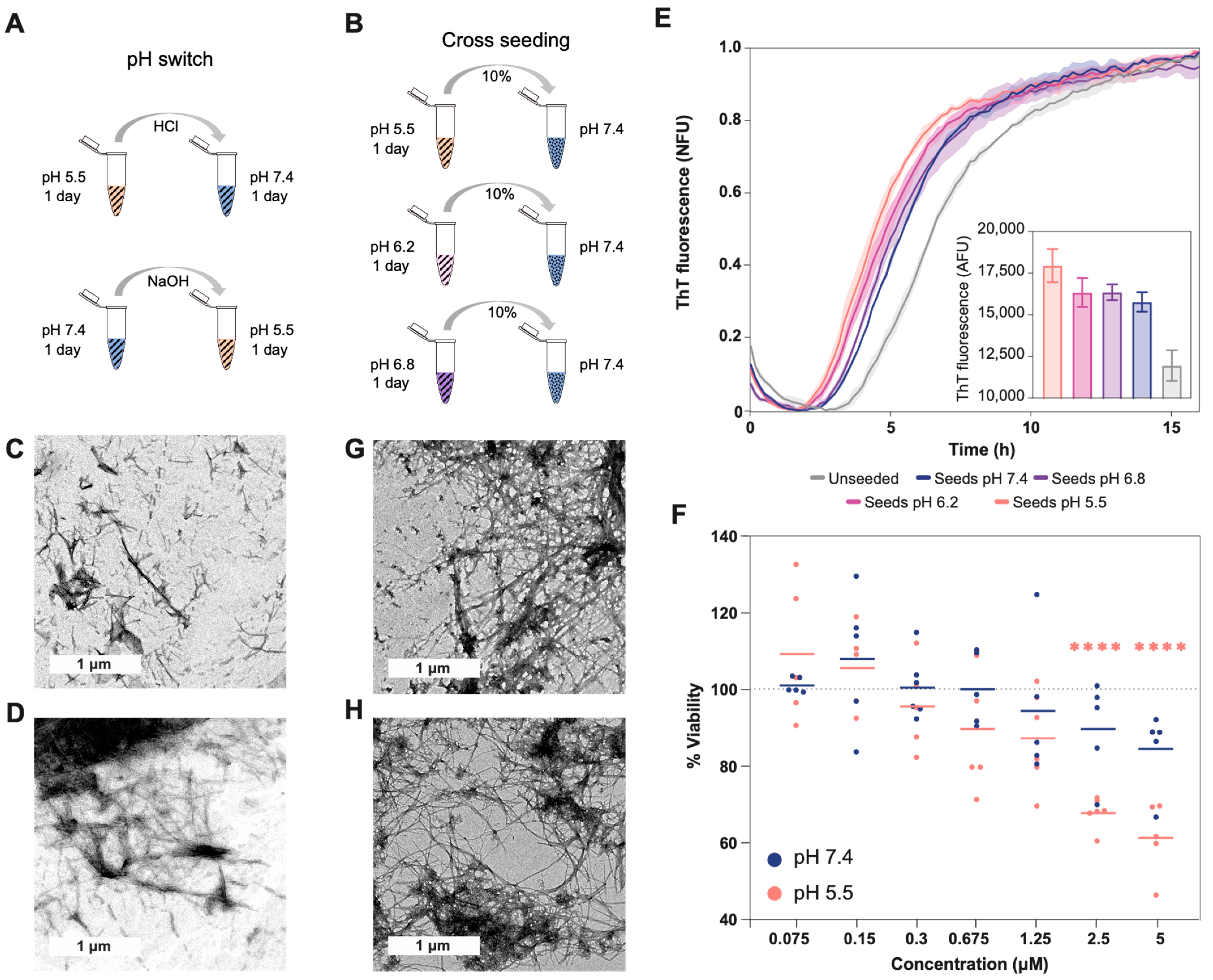 Ijms 24 08408 g003 Ijms 24 08408 g003