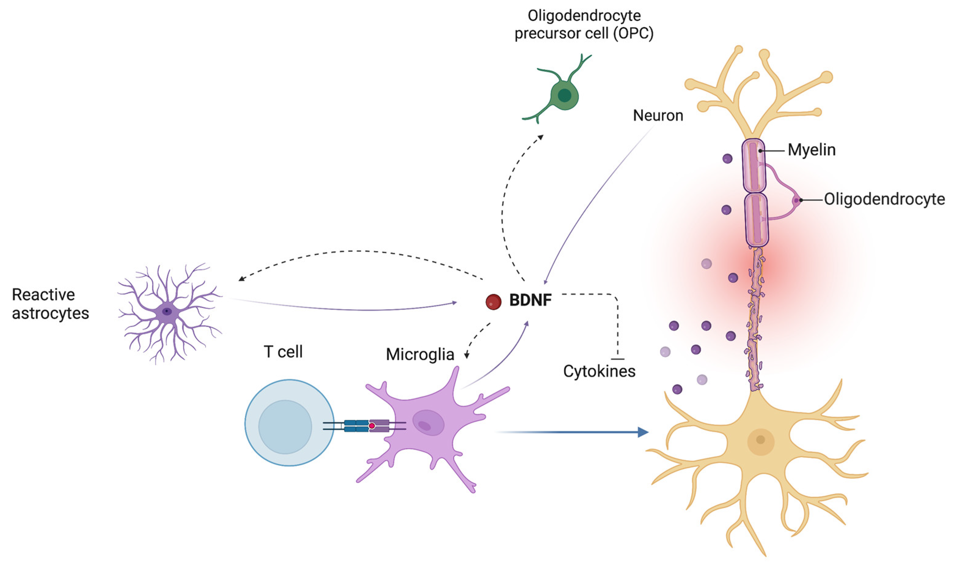 Ijms 24 08447 g003 Ijms 24 08447 g003