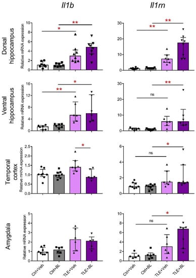 IJMS | Free Full-Text | Beneficial Effects of Probiotic