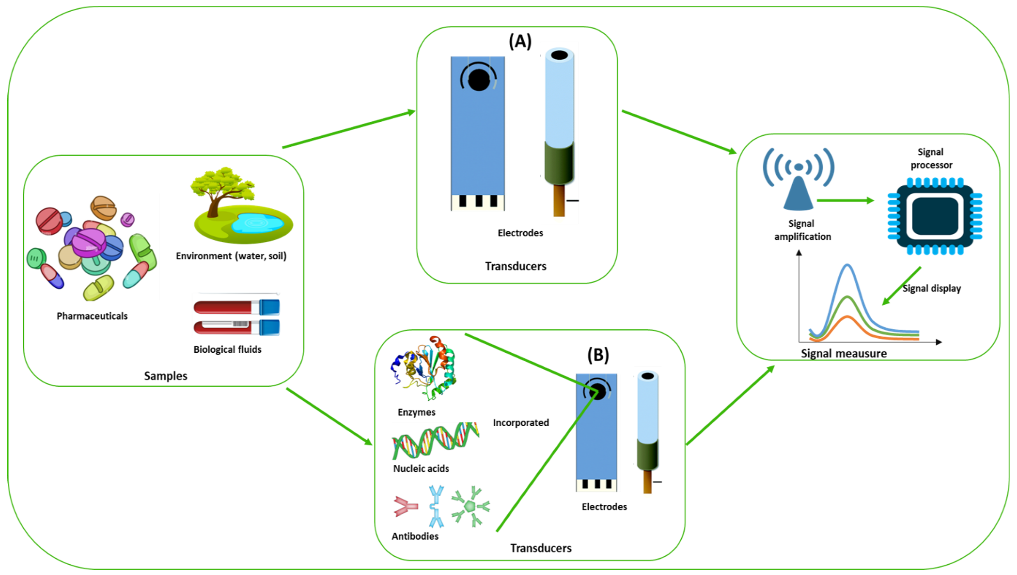 Ijms 24 08480 g001 Ijms 24 08480 g001