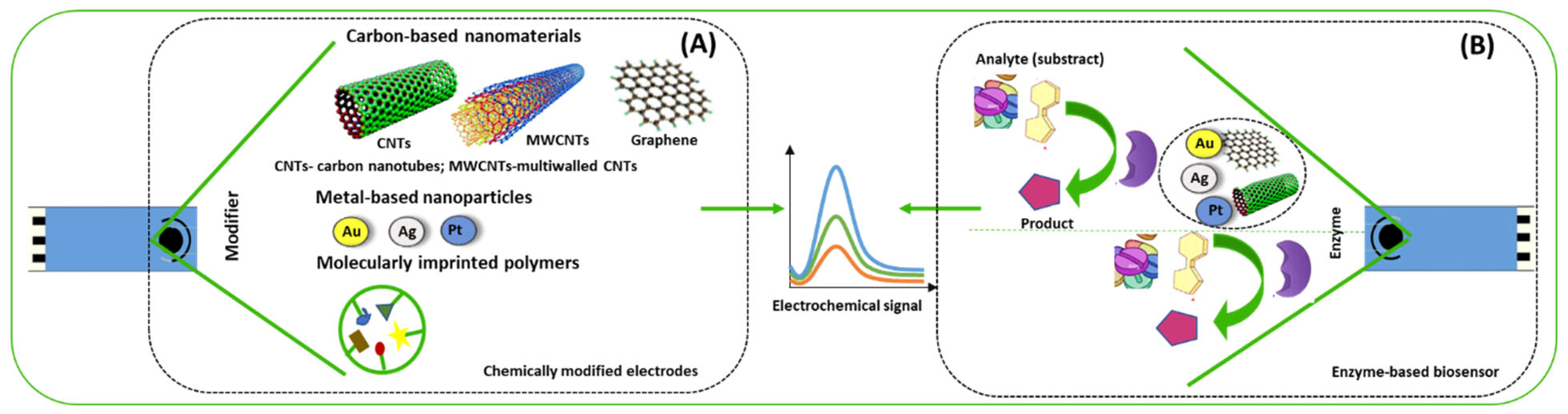 Ijms 24 08480 g002 Ijms 24 08480 g002