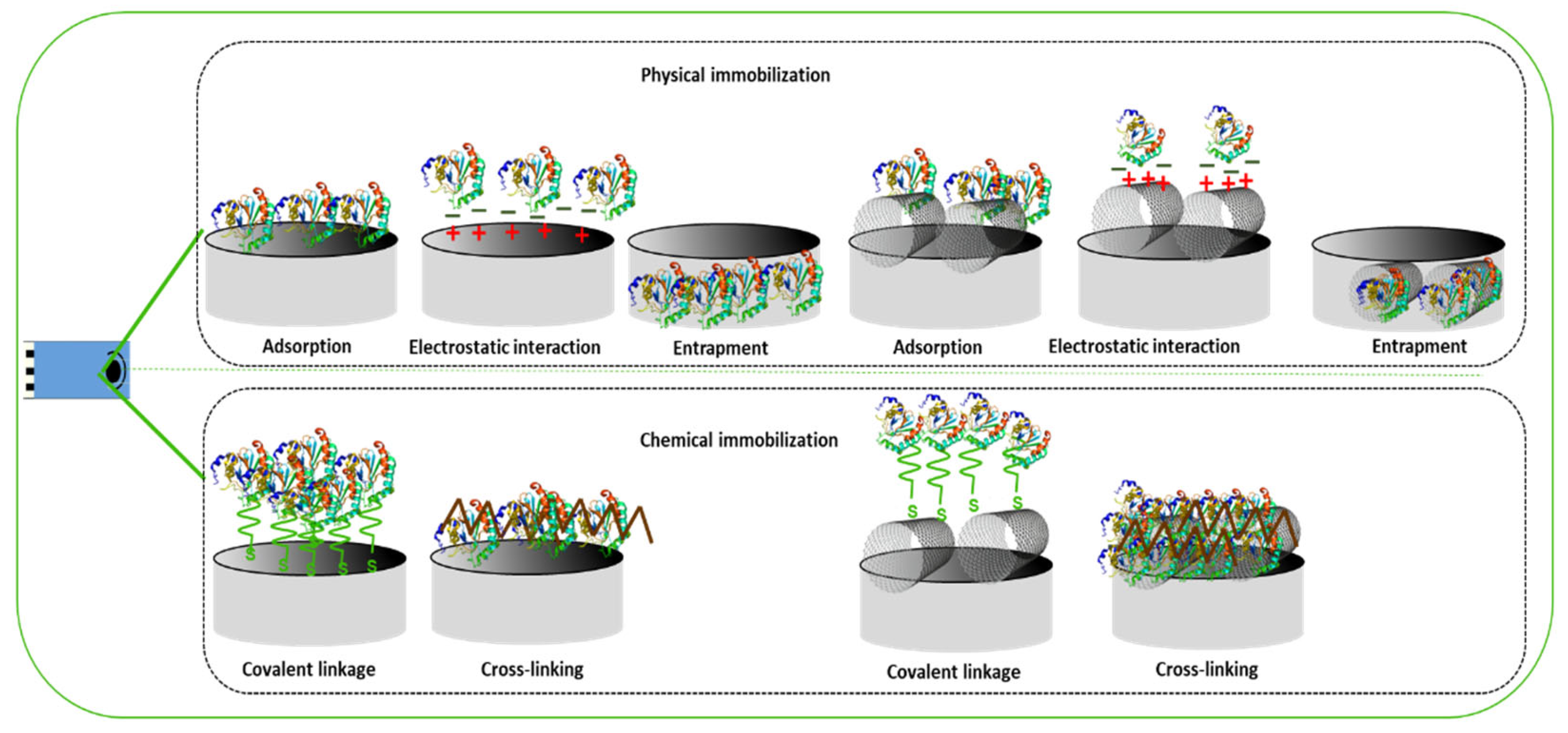 Ijms 24 08480 g007 Ijms 24 08480 g007