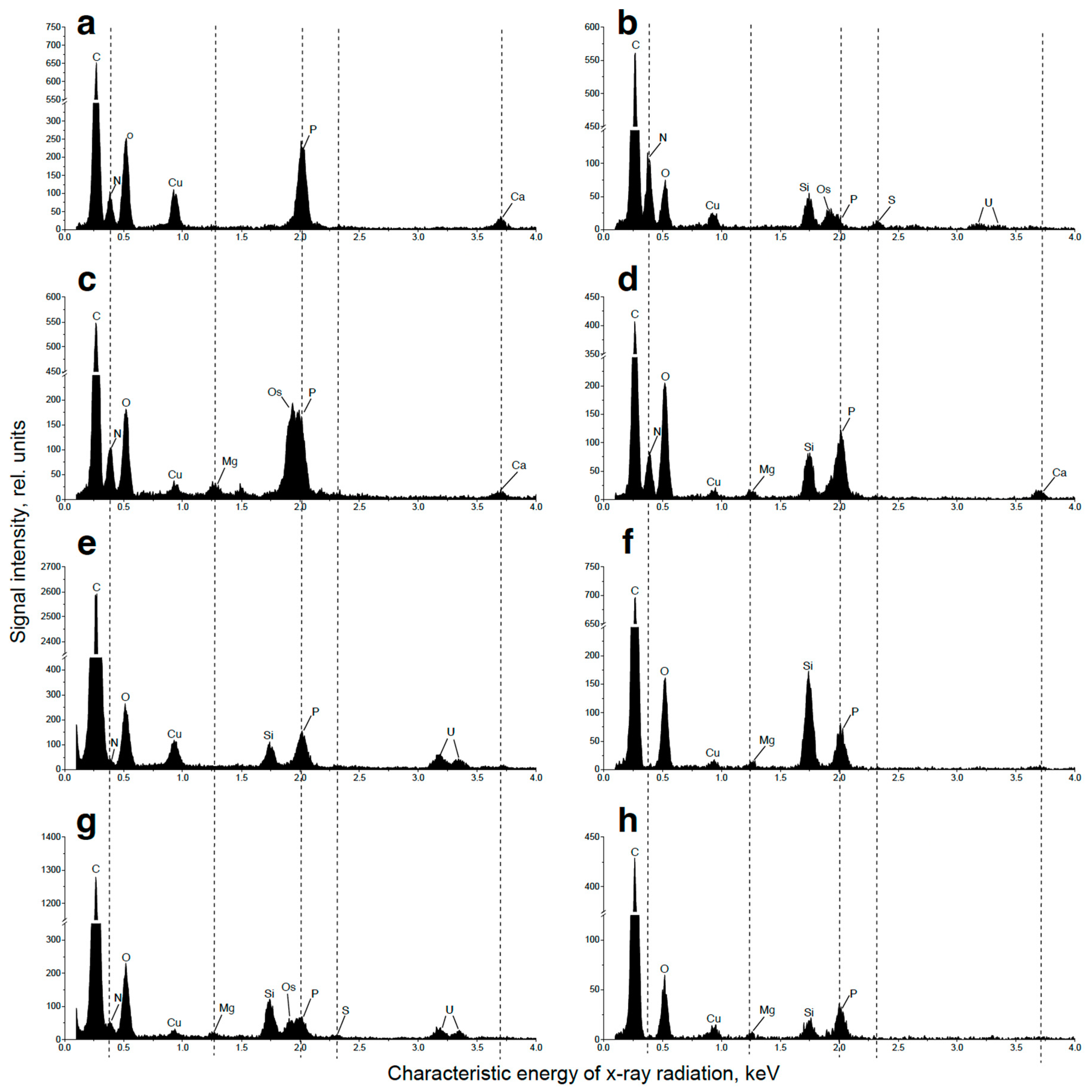 Ijms 24 08484 g007 Ijms 24 08484 g007