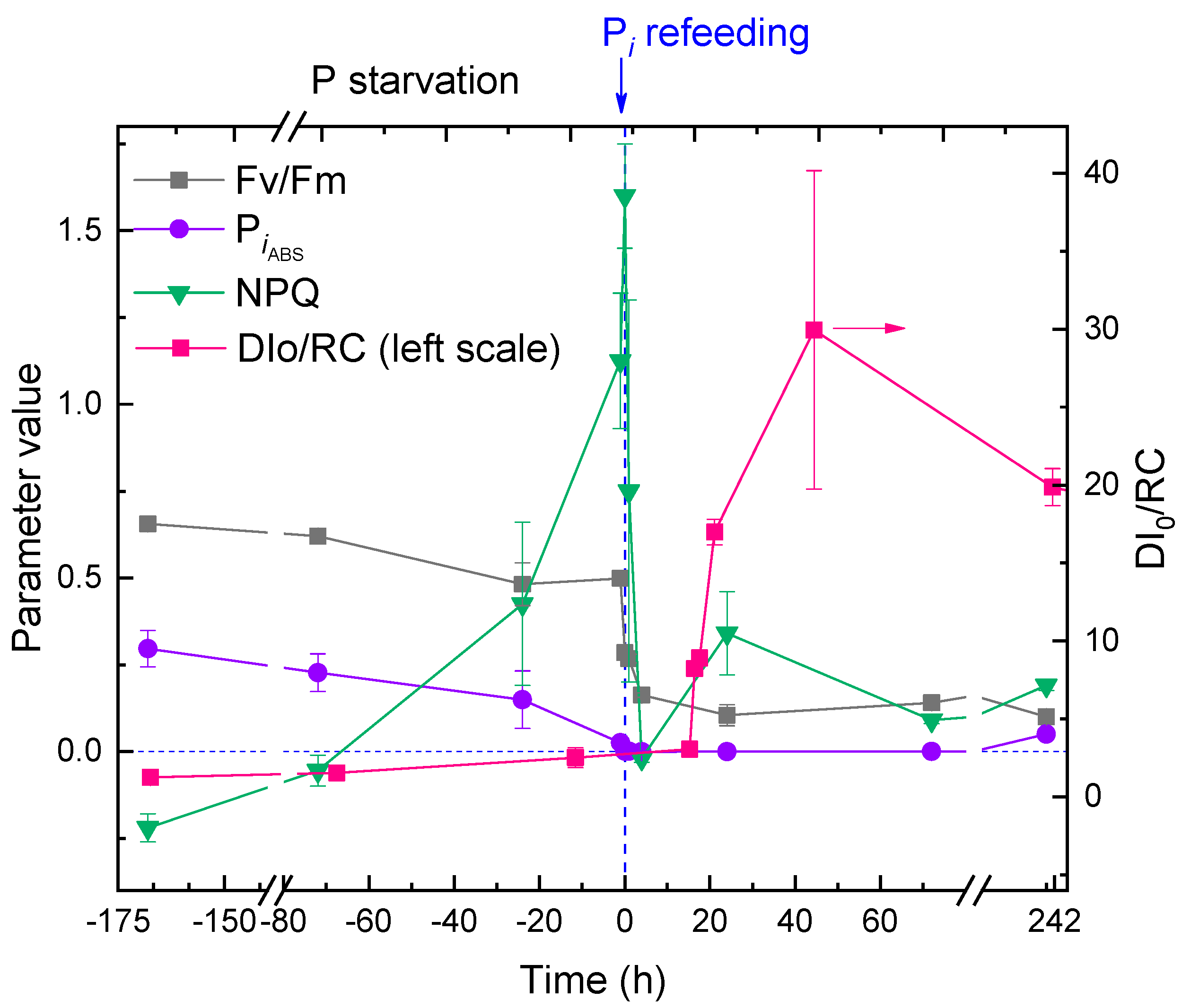 Ijms 24 08484 g008 Ijms 24 08484 g008