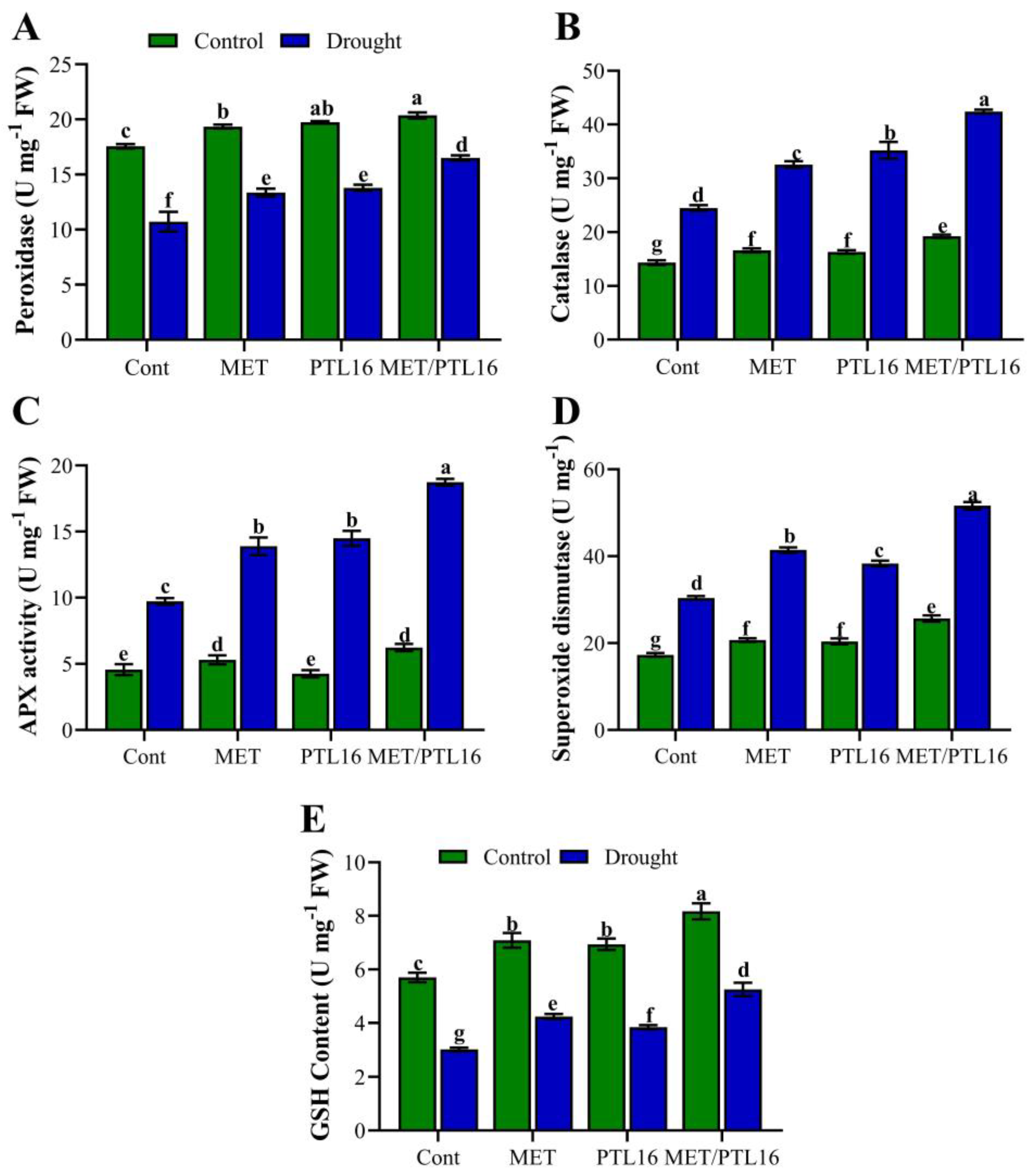 Ijms 24 08489 g004 Ijms 24 08489 g004