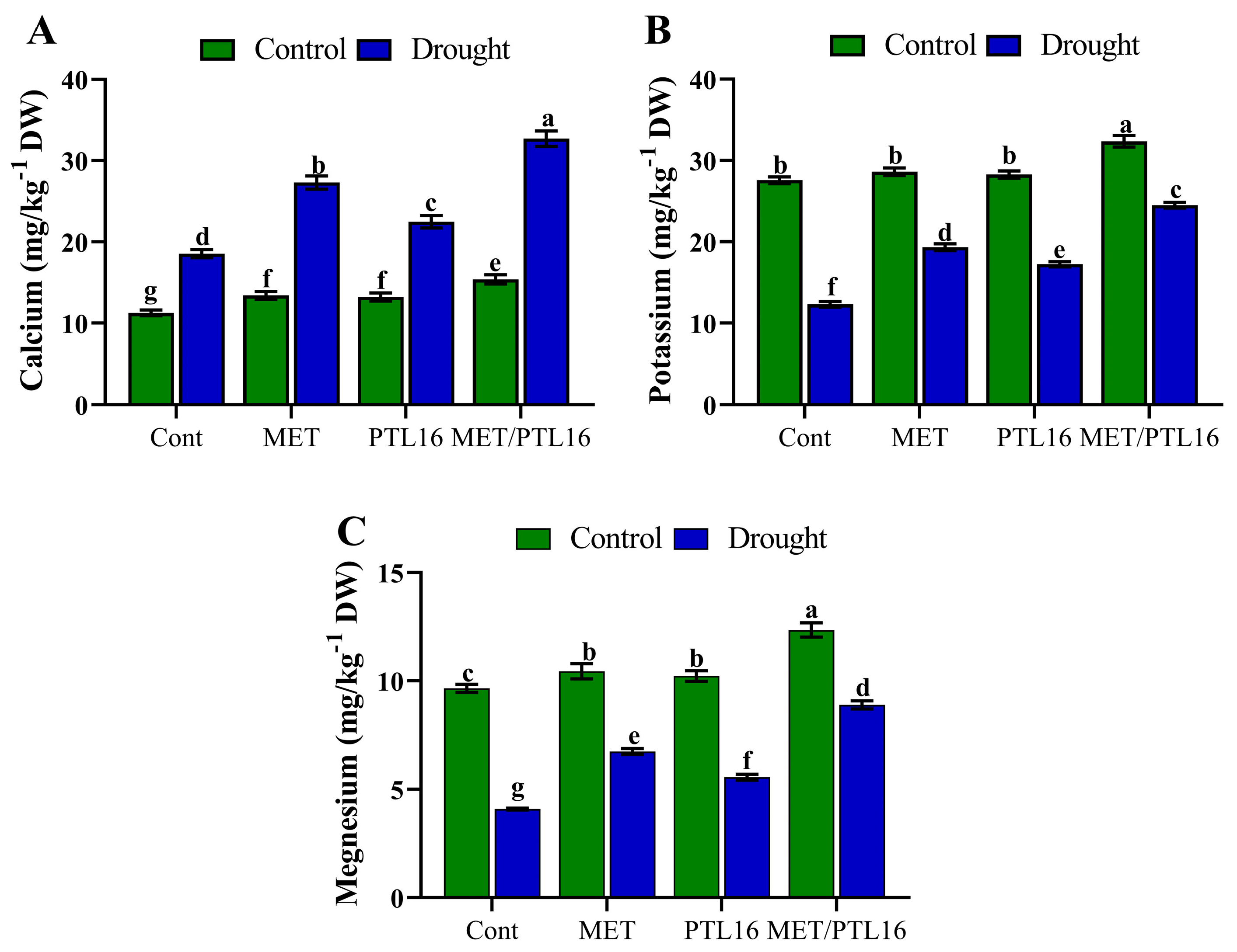 Ijms 24 08489 g009 Ijms 24 08489 g009