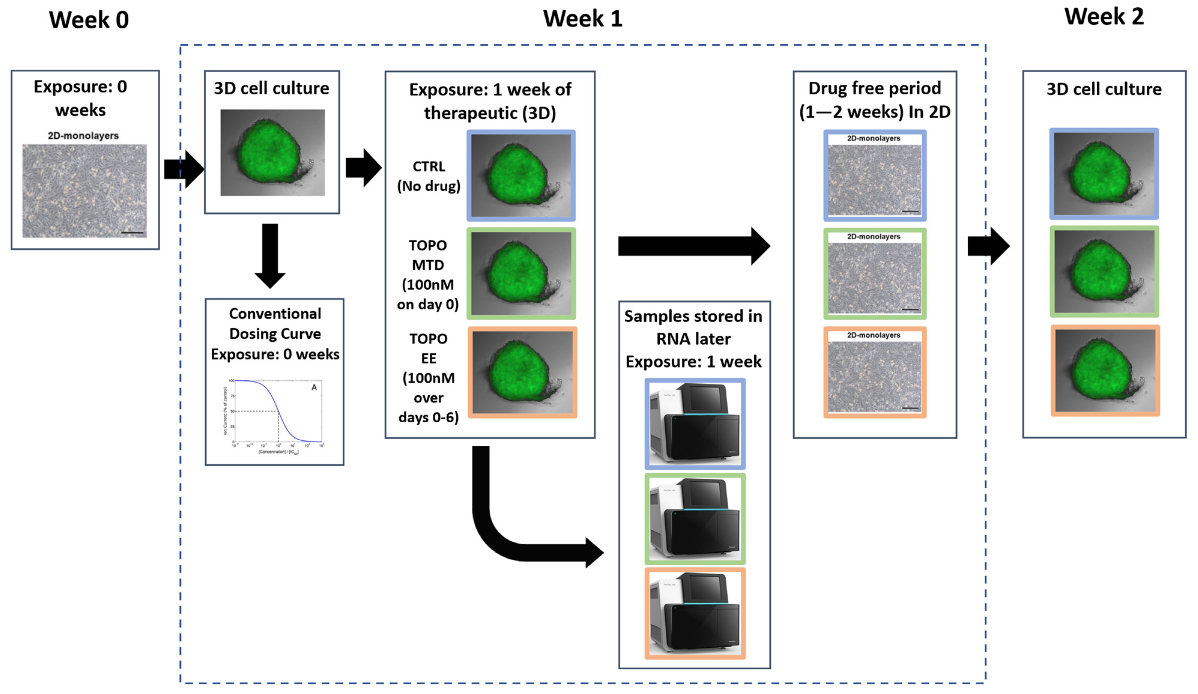 Ijms 24 08490 g0a3 Ijms 24 08490 g0a3