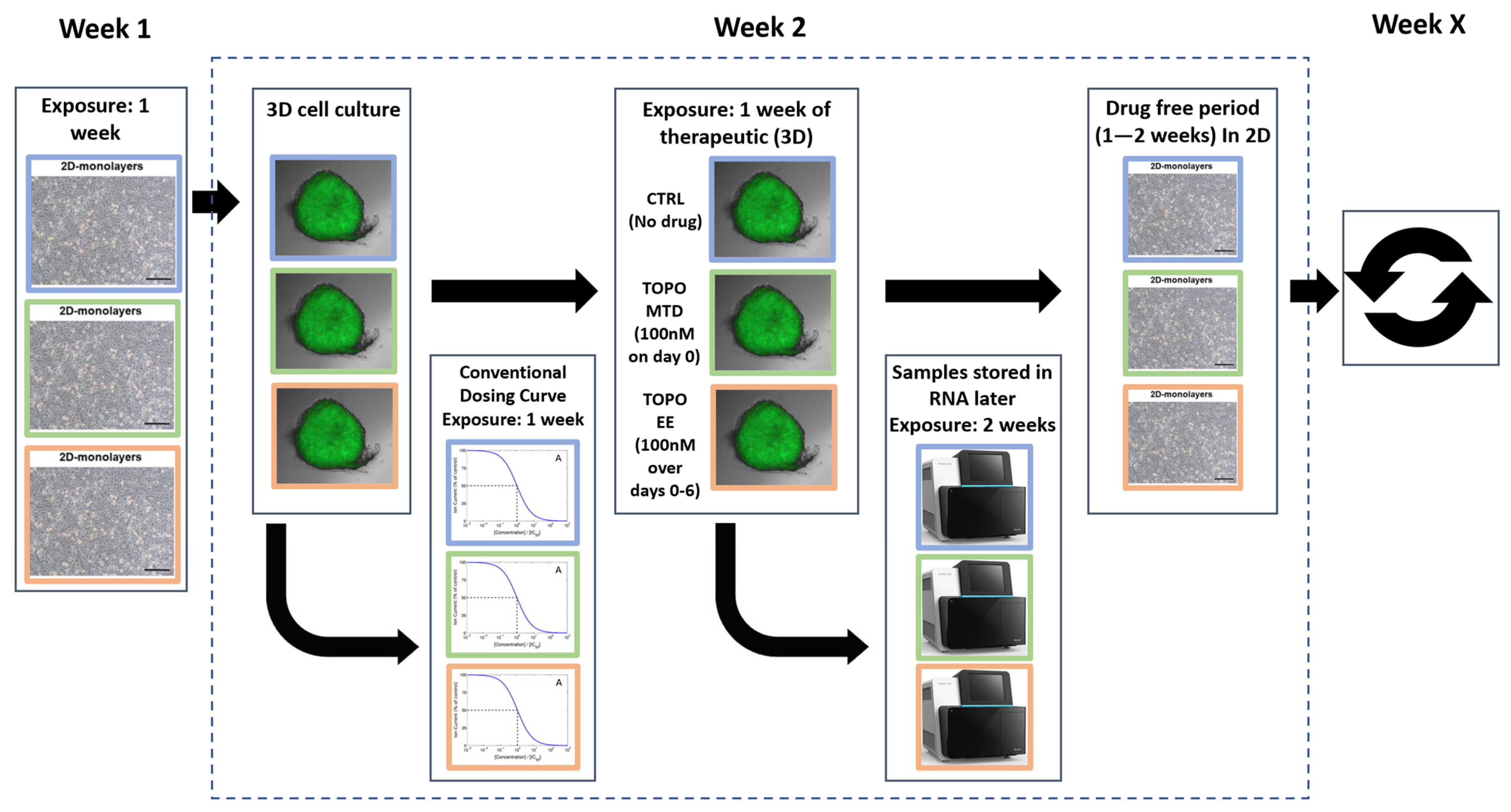 Ijms 24 08490 g0a4 Ijms 24 08490 g0a4