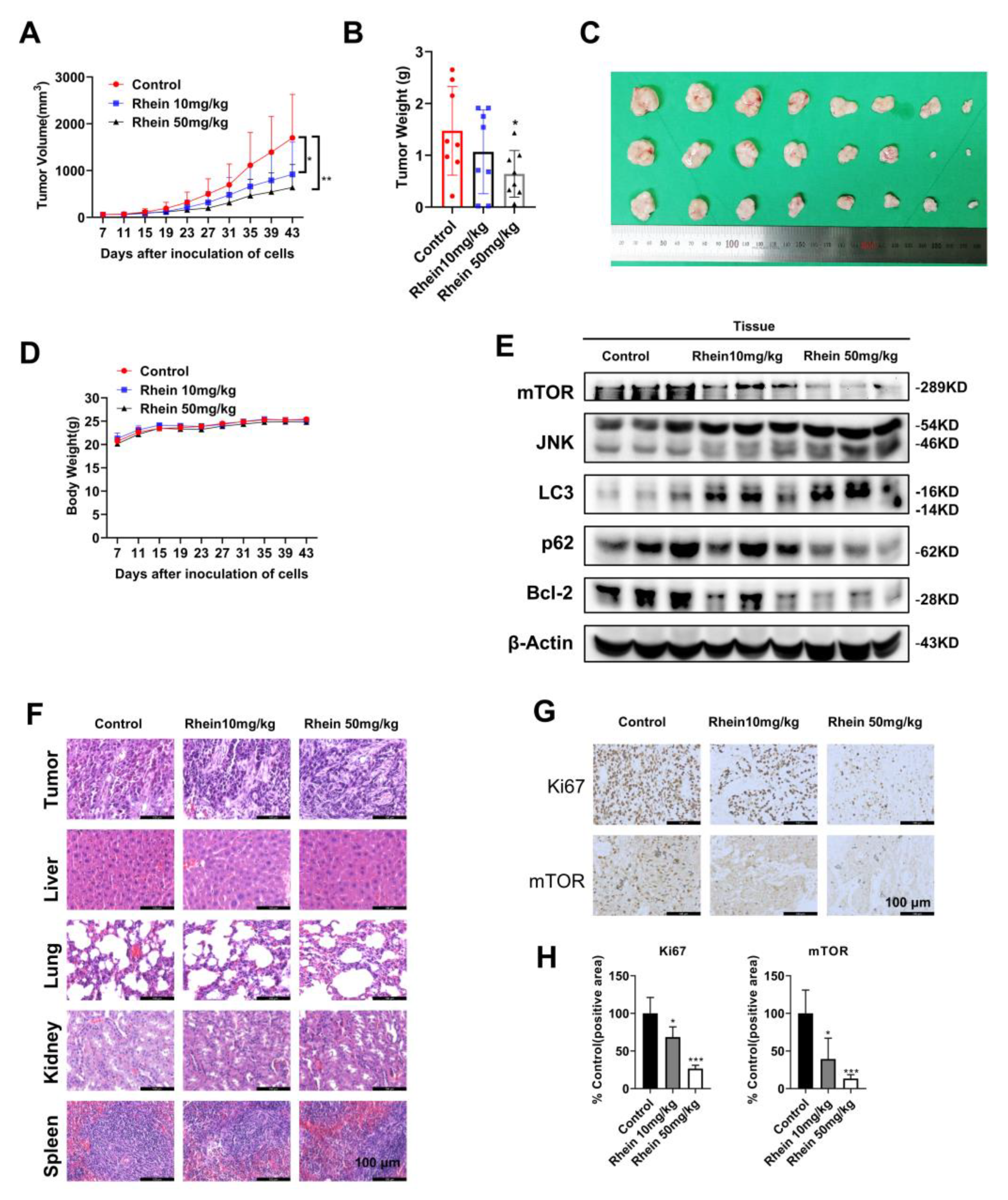 Ijms 24 08507 g006 Ijms 24 08507 g006