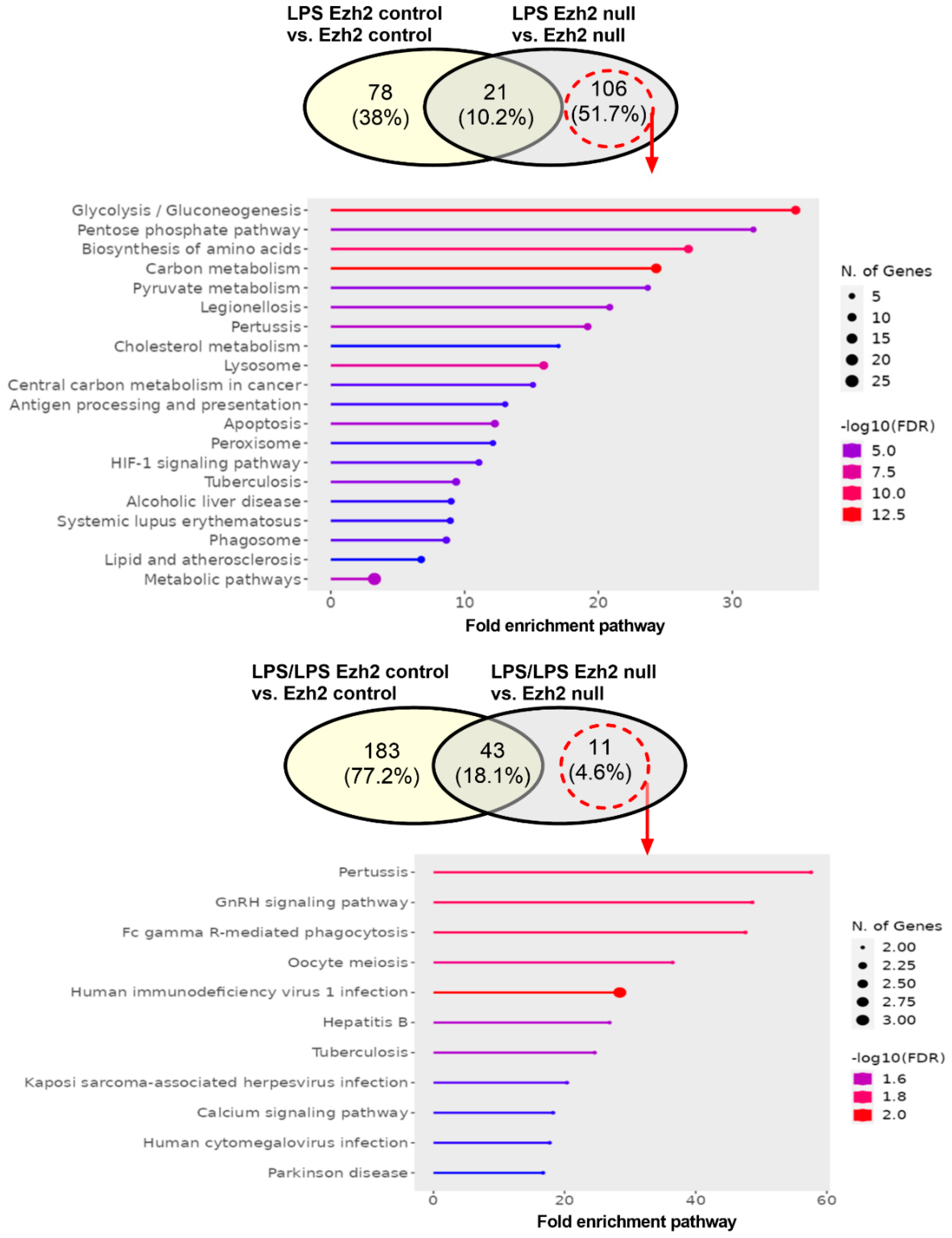 Evaluation of a Reliable Biomarker in a Cecal Ligation and Puncture-Induced  Mouse Model of Sepsis