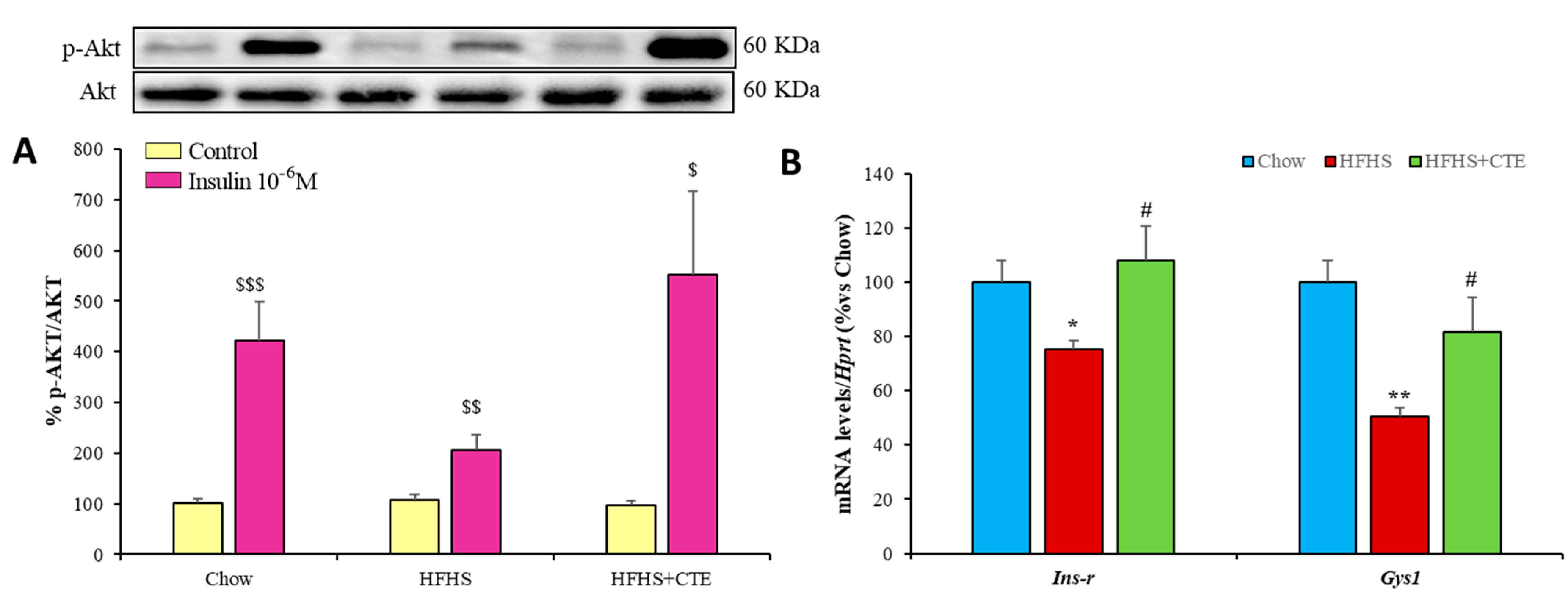 Ijms 24 08521 g005 Ijms 24 08521 g005