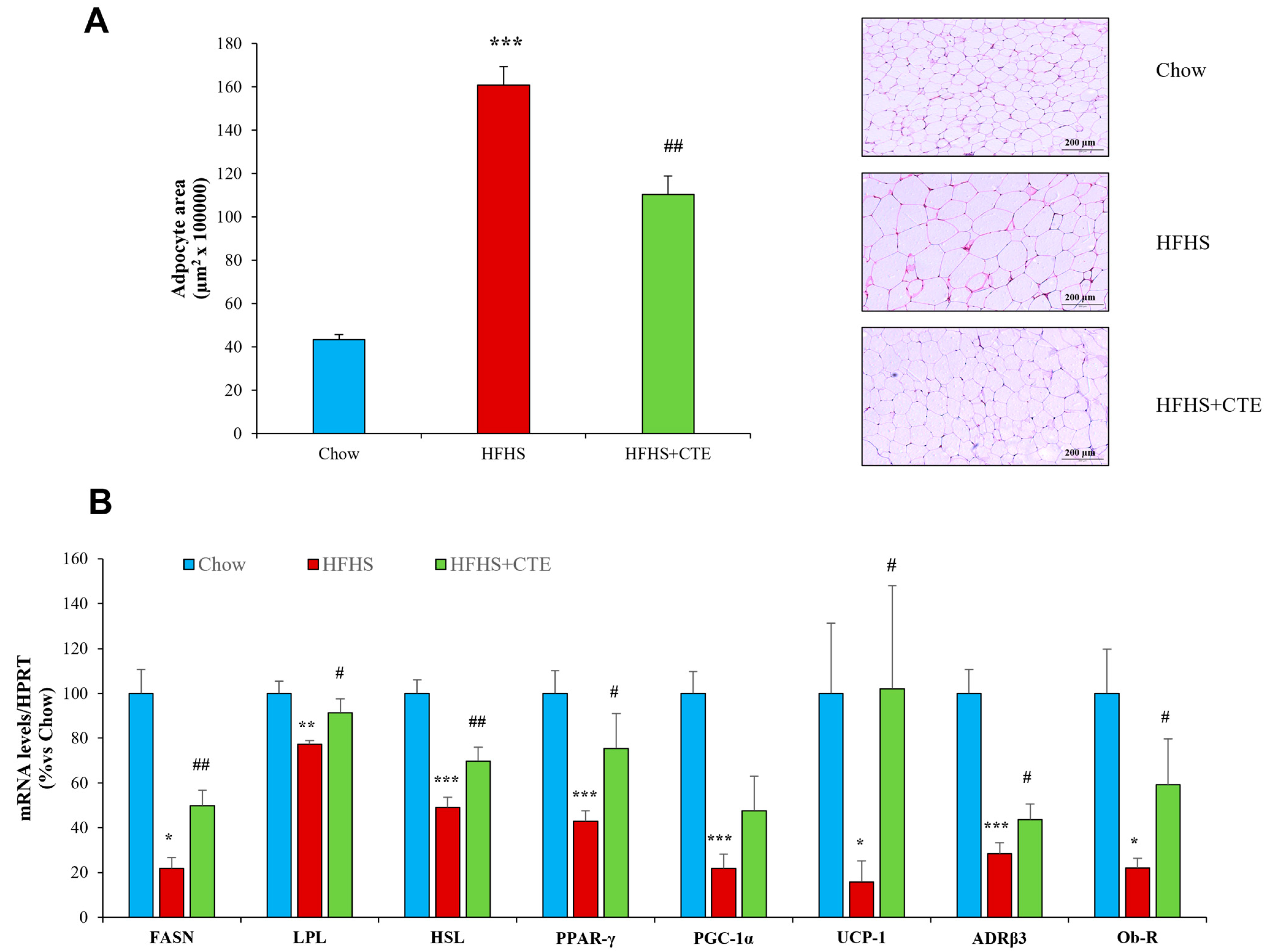 Ijms 24 08521 g007 Ijms 24 08521 g007