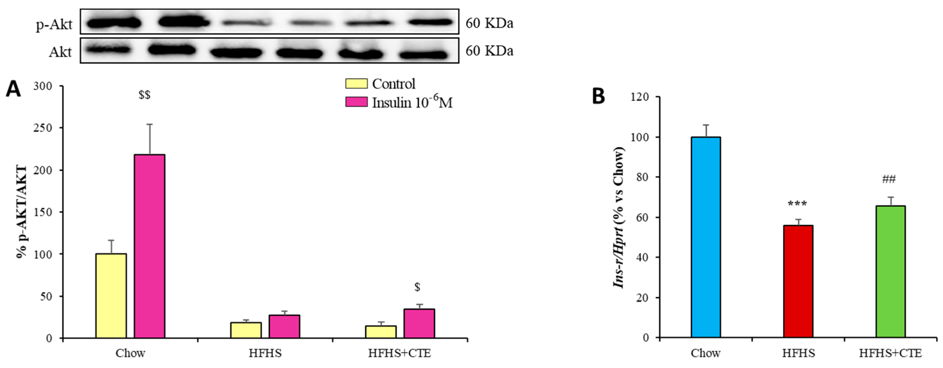 Ijms 24 08521 g008 Ijms 24 08521 g008