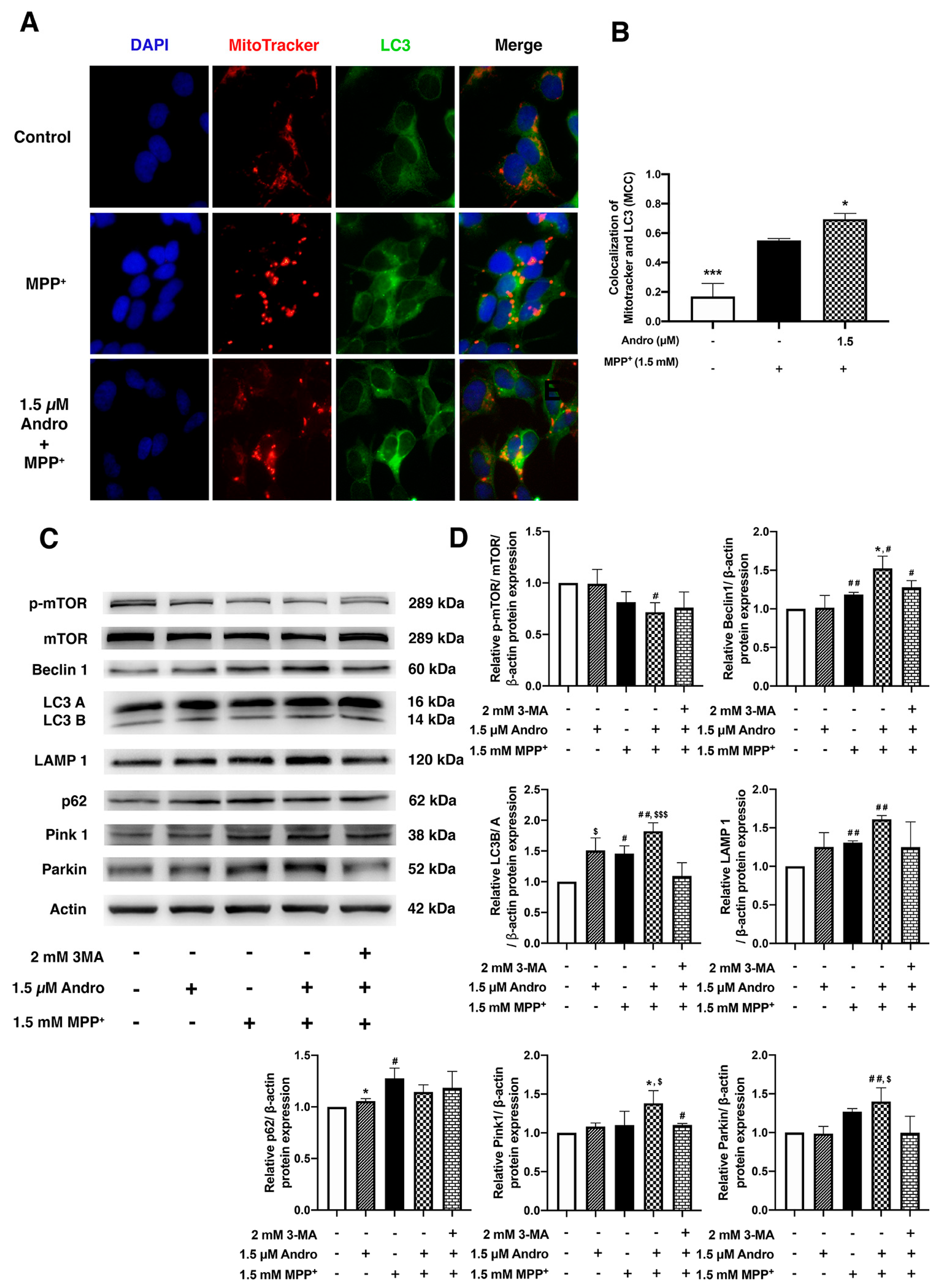 Ijms 24 08528 g003 Ijms 24 08528 g003