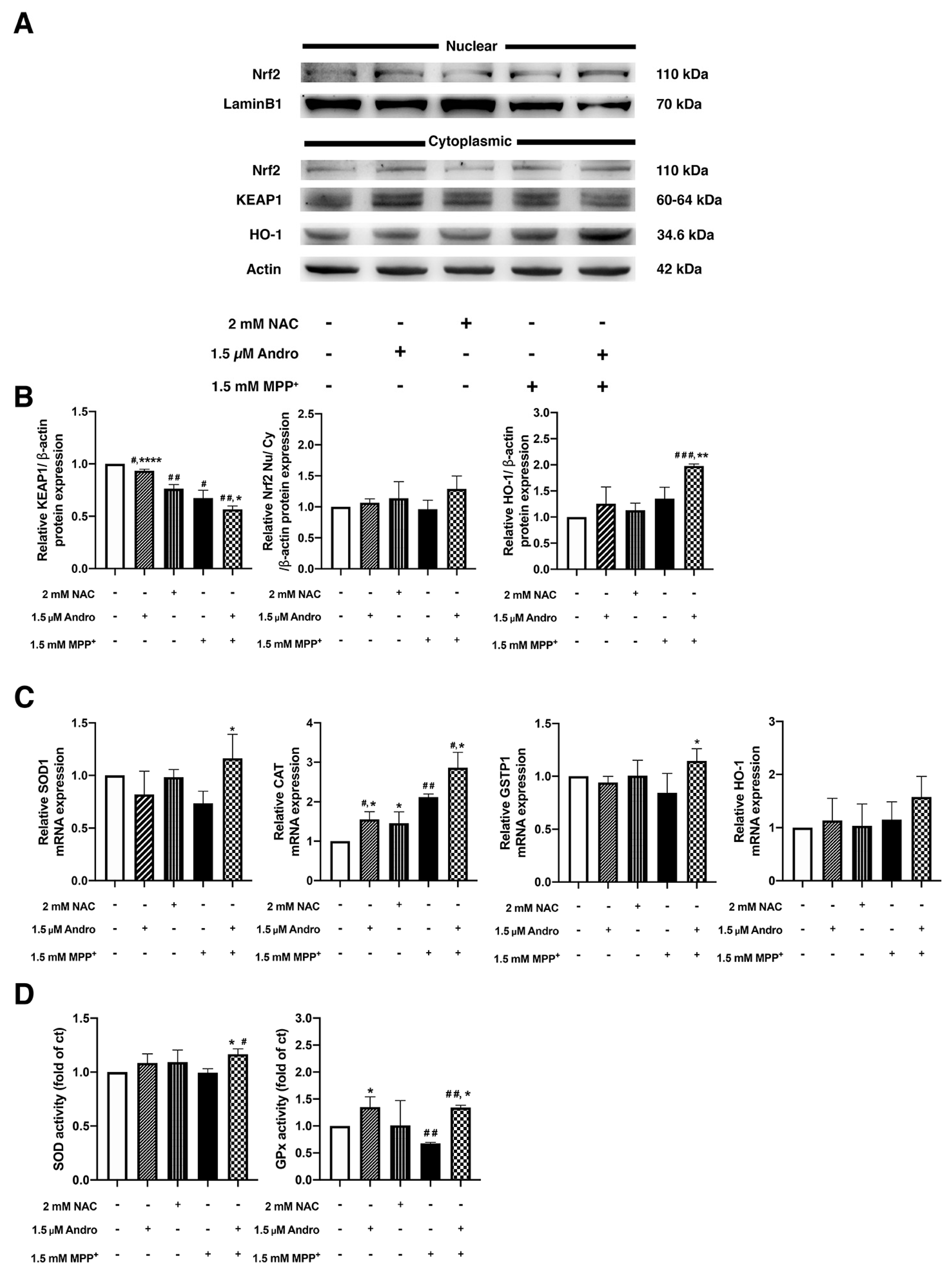Ijms 24 08528 g005 Ijms 24 08528 g005