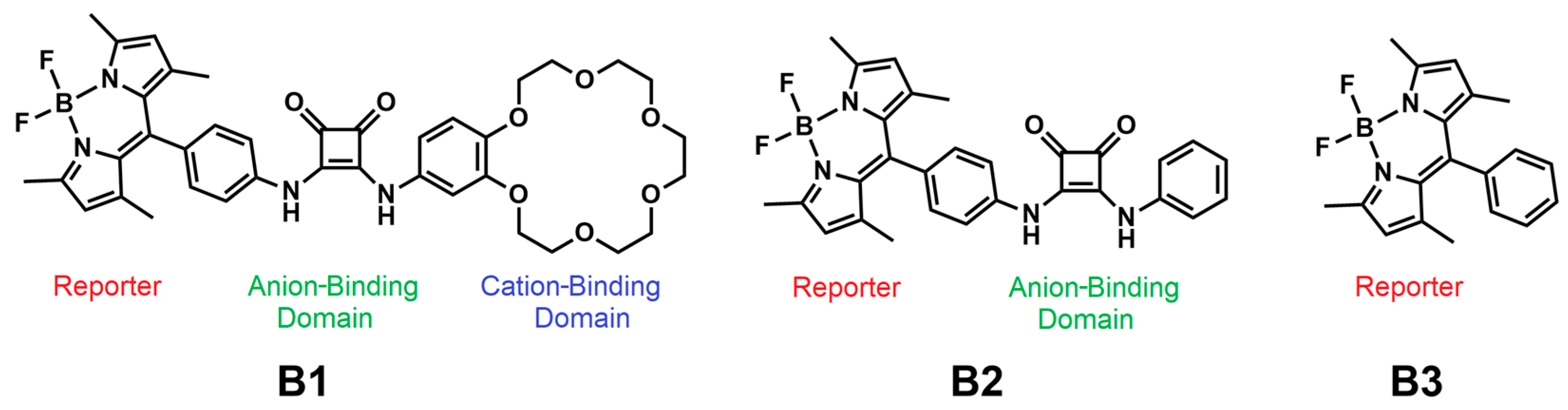 Ijms 24 08536 g001 Ijms 24 08536 g001