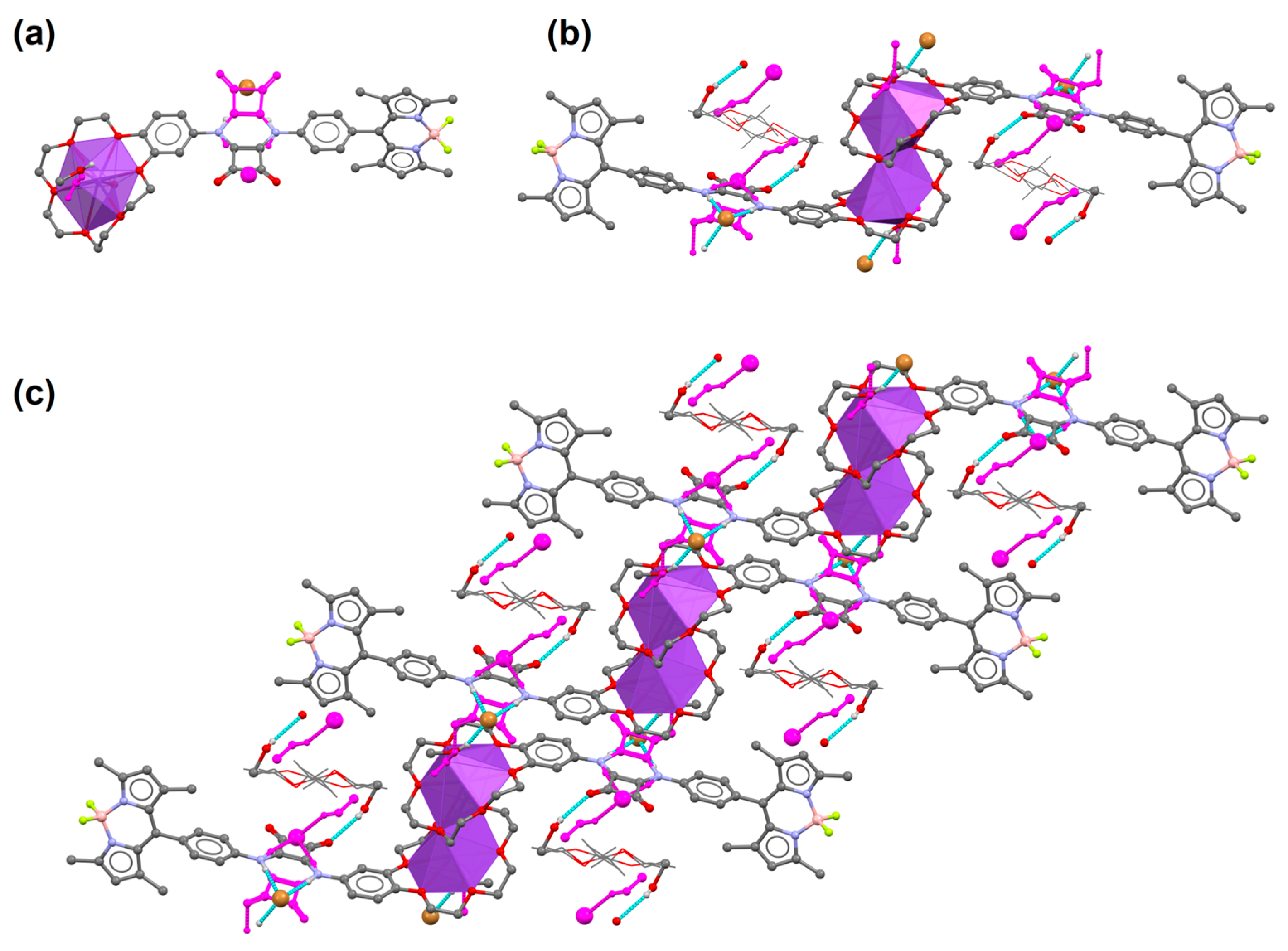 Ijms 24 08536 g003 Ijms 24 08536 g003