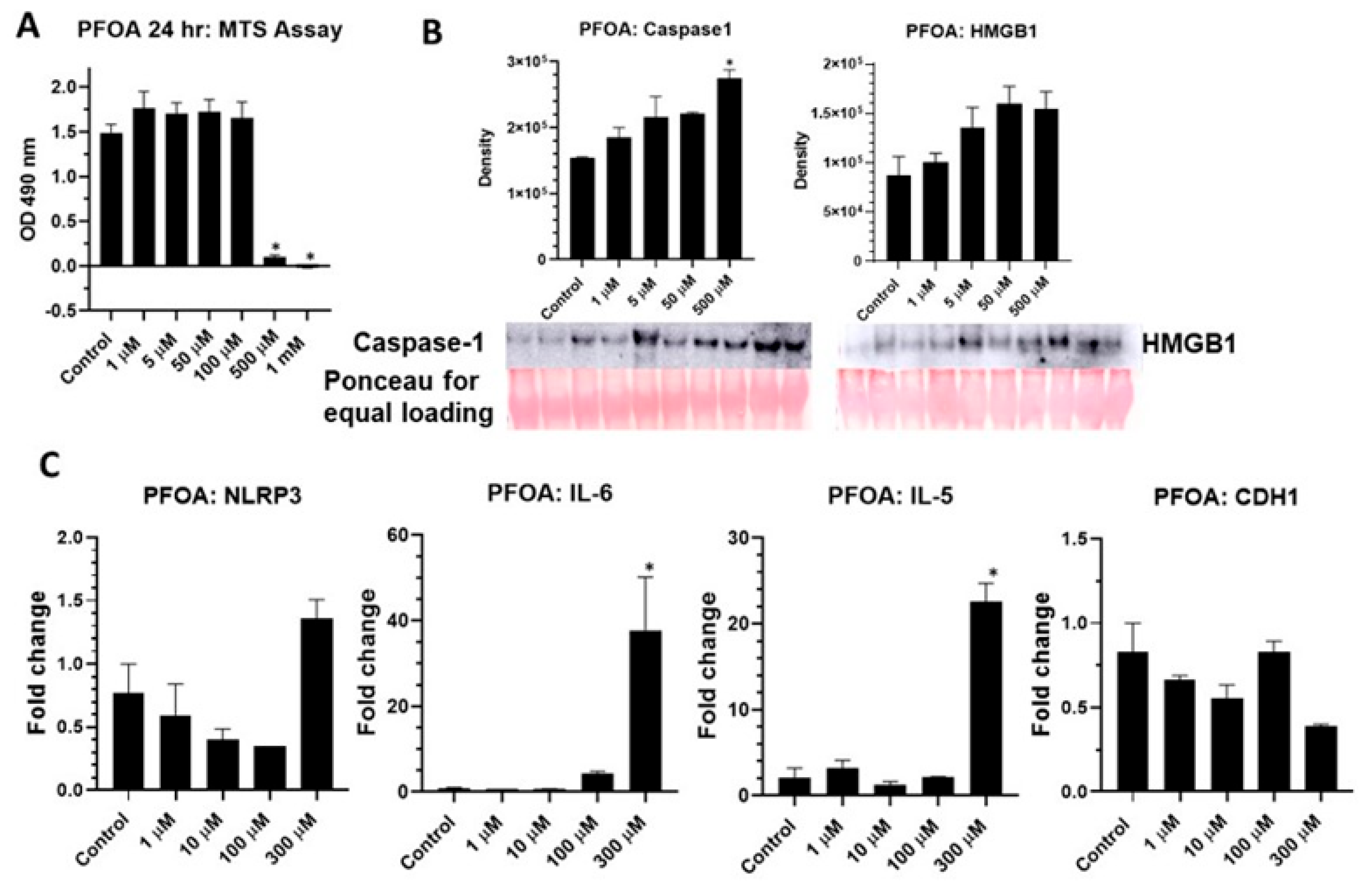 Ijms 24 08539 g001 Ijms 24 08539 g001