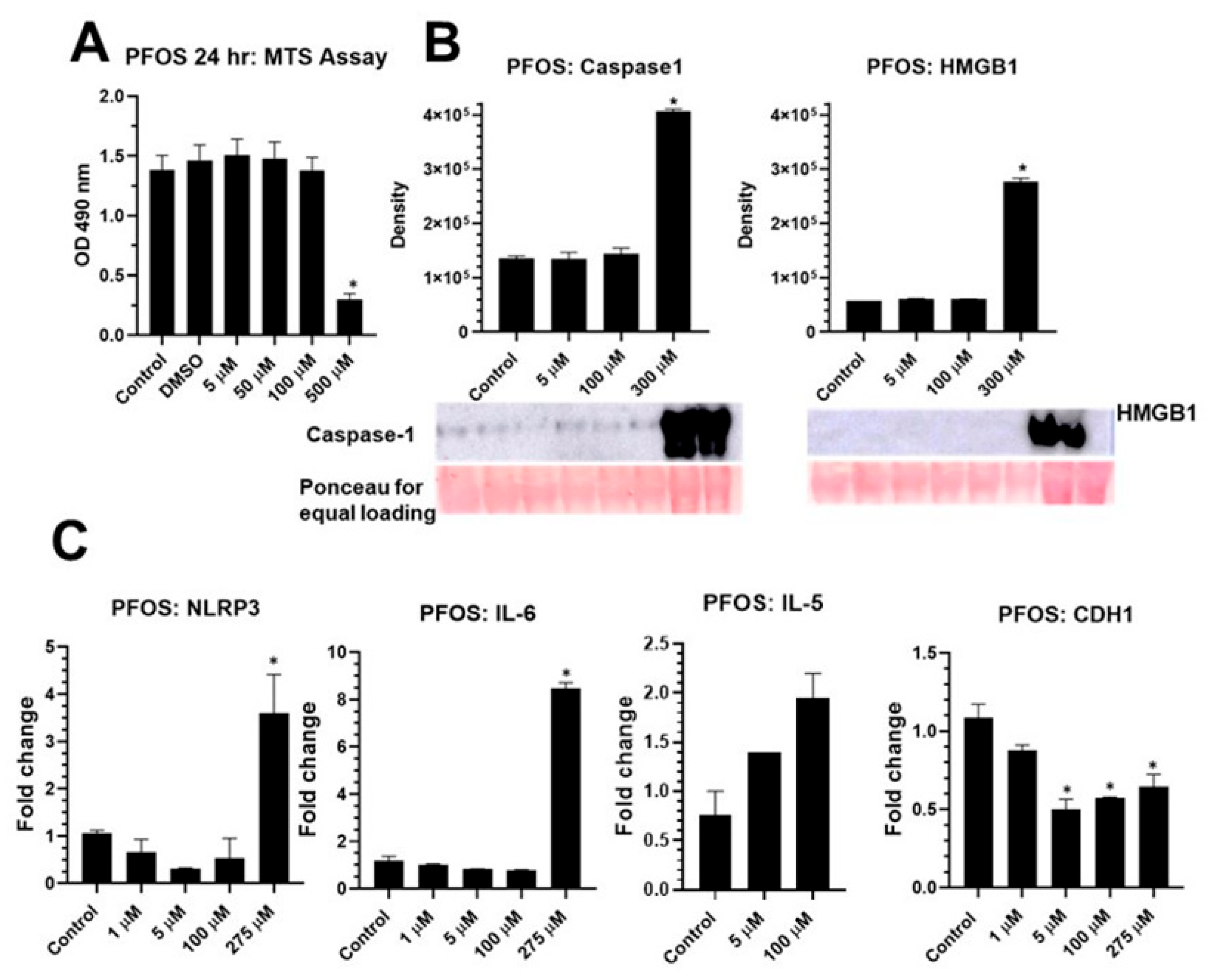 Ijms 24 08539 g002 Ijms 24 08539 g002