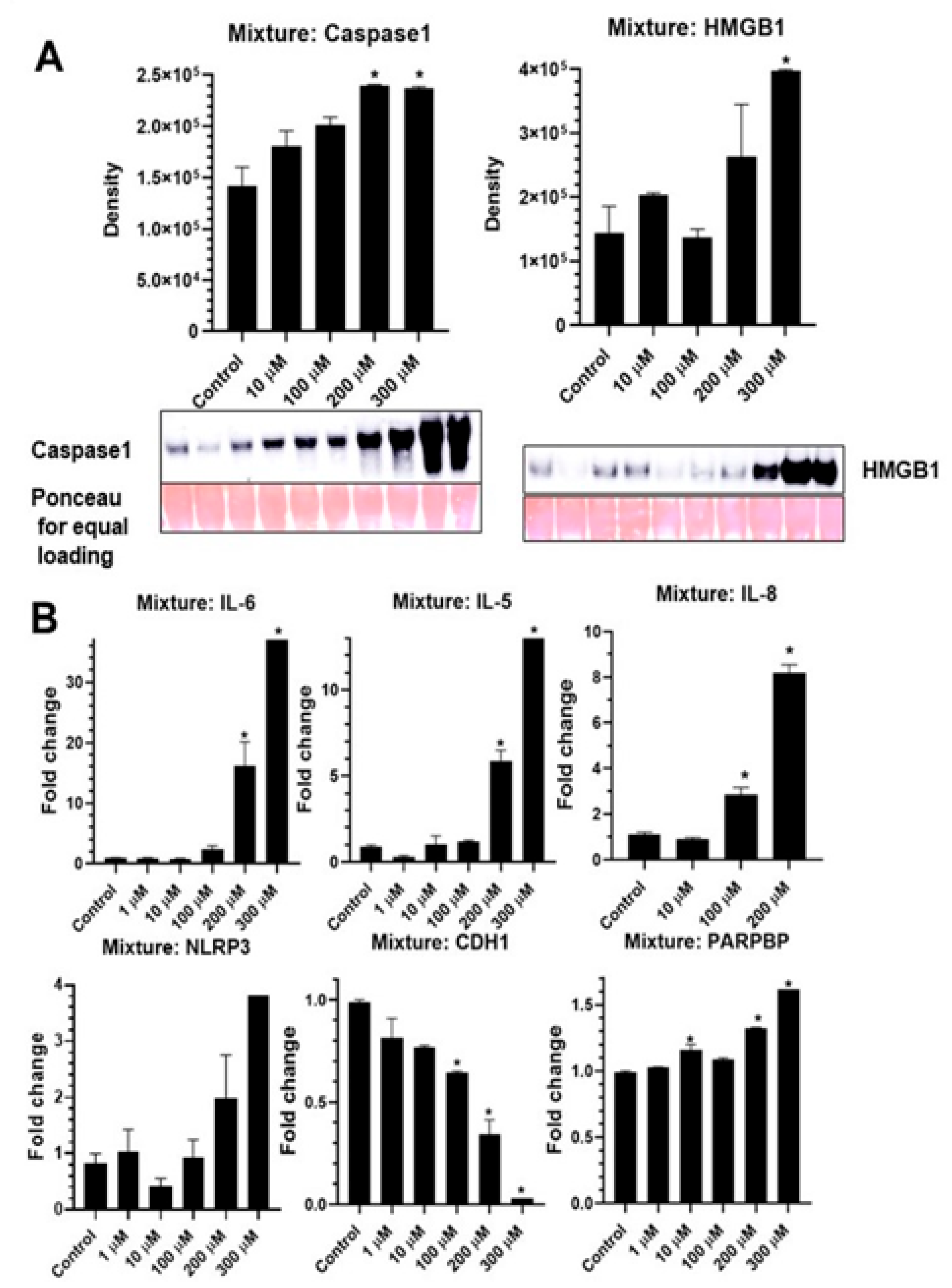 Ijms 24 08539 g004 Ijms 24 08539 g004