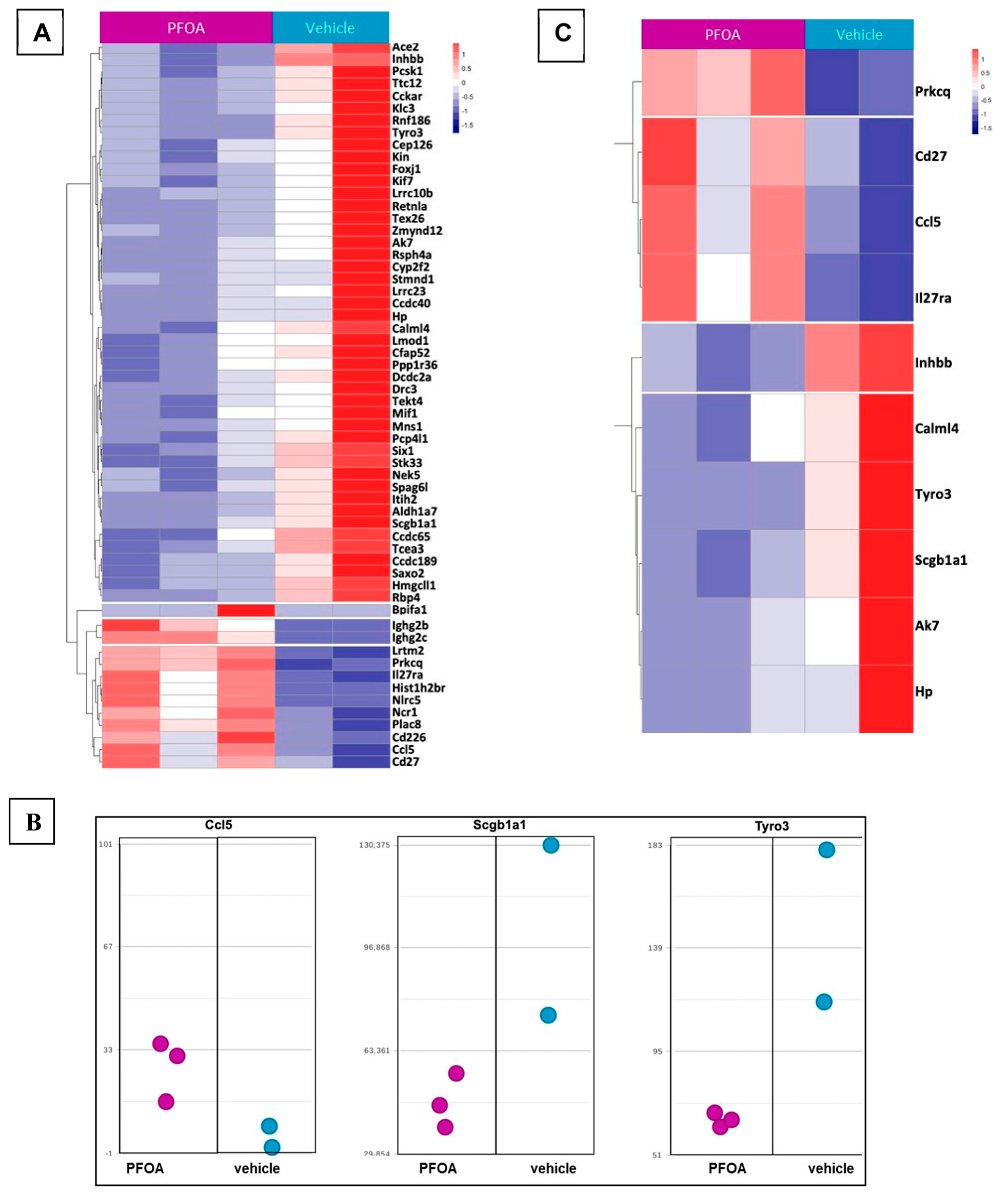 Ijms 24 08539 g005 Ijms 24 08539 g005