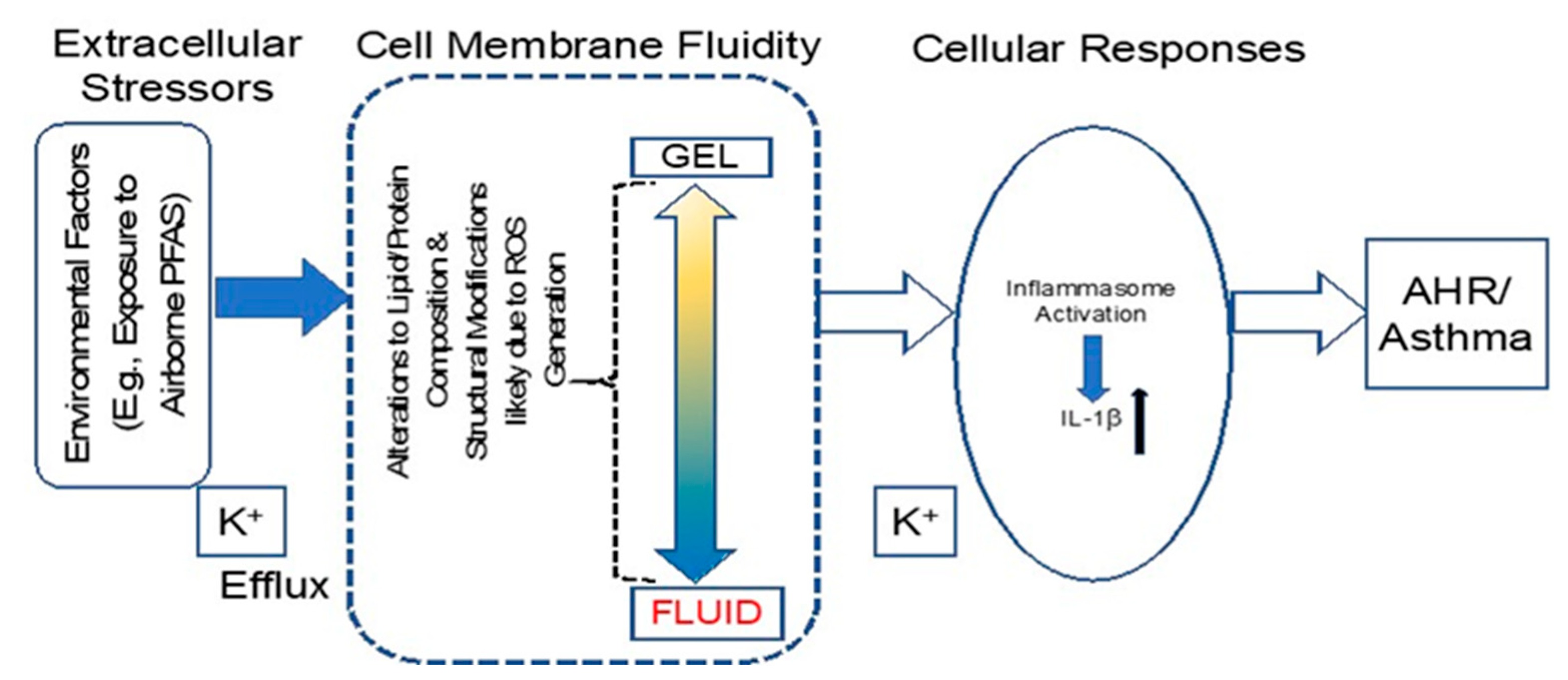 Ijms 24 08539 g007 Ijms 24 08539 g007