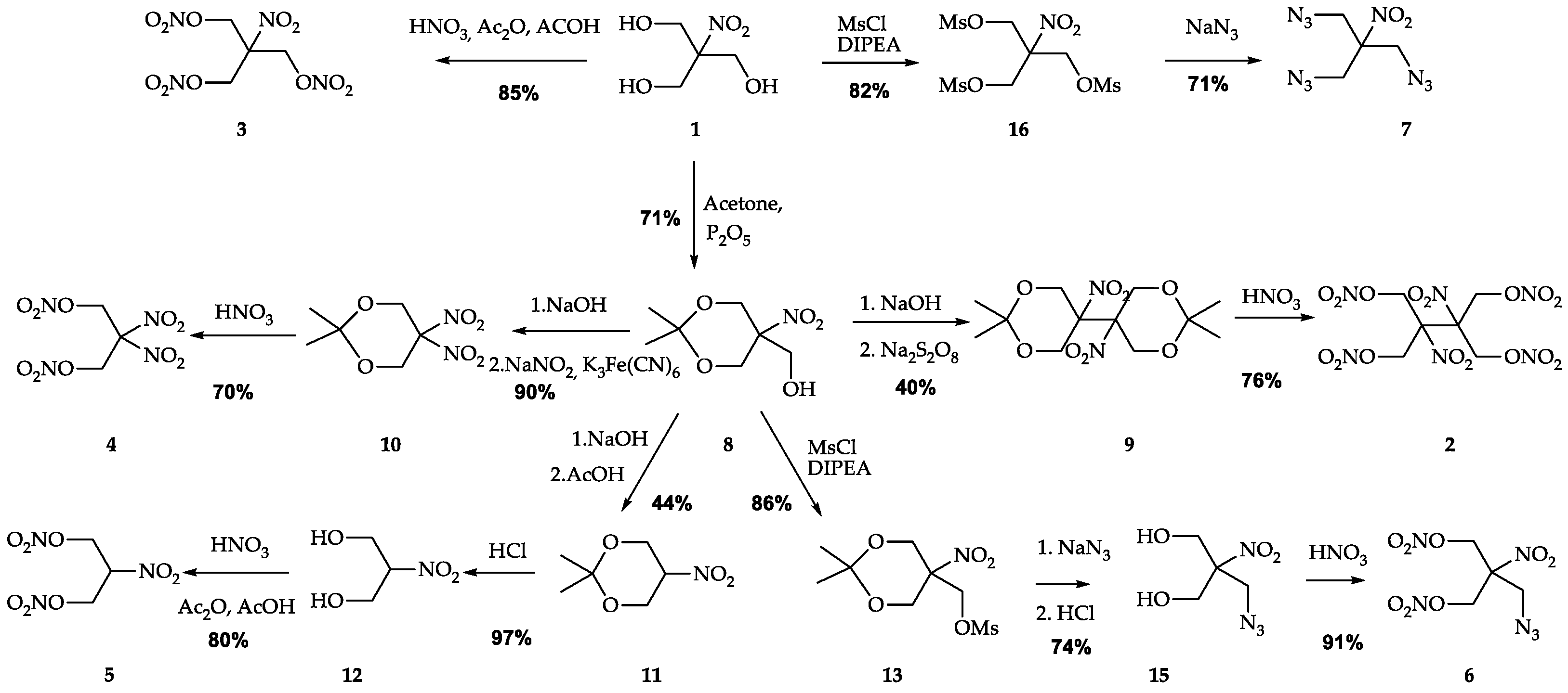 Ijms 24 08541 g002 Ijms 24 08541 g002