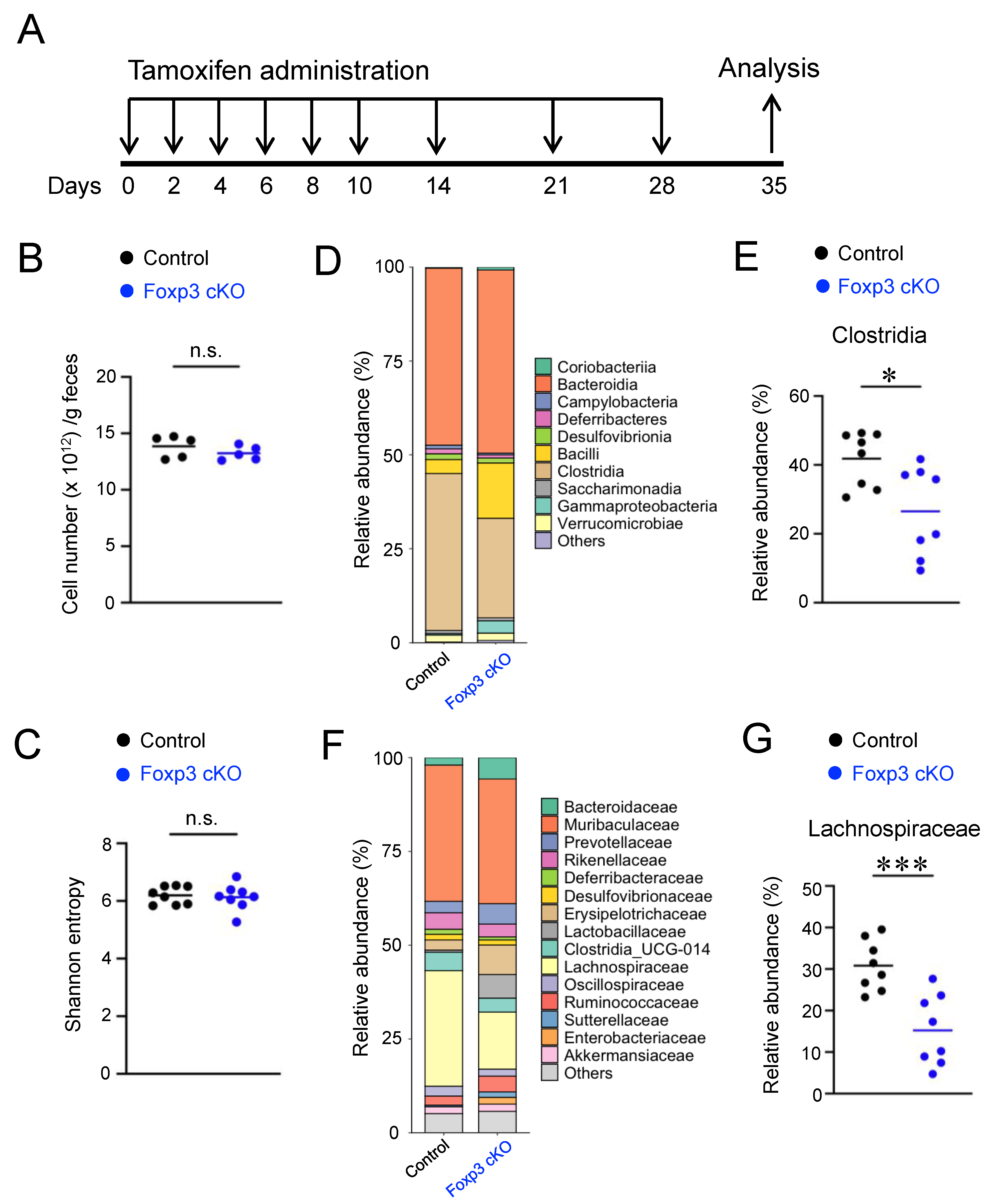 Ijms 24 08549 g001 Ijms 24 08549 g001