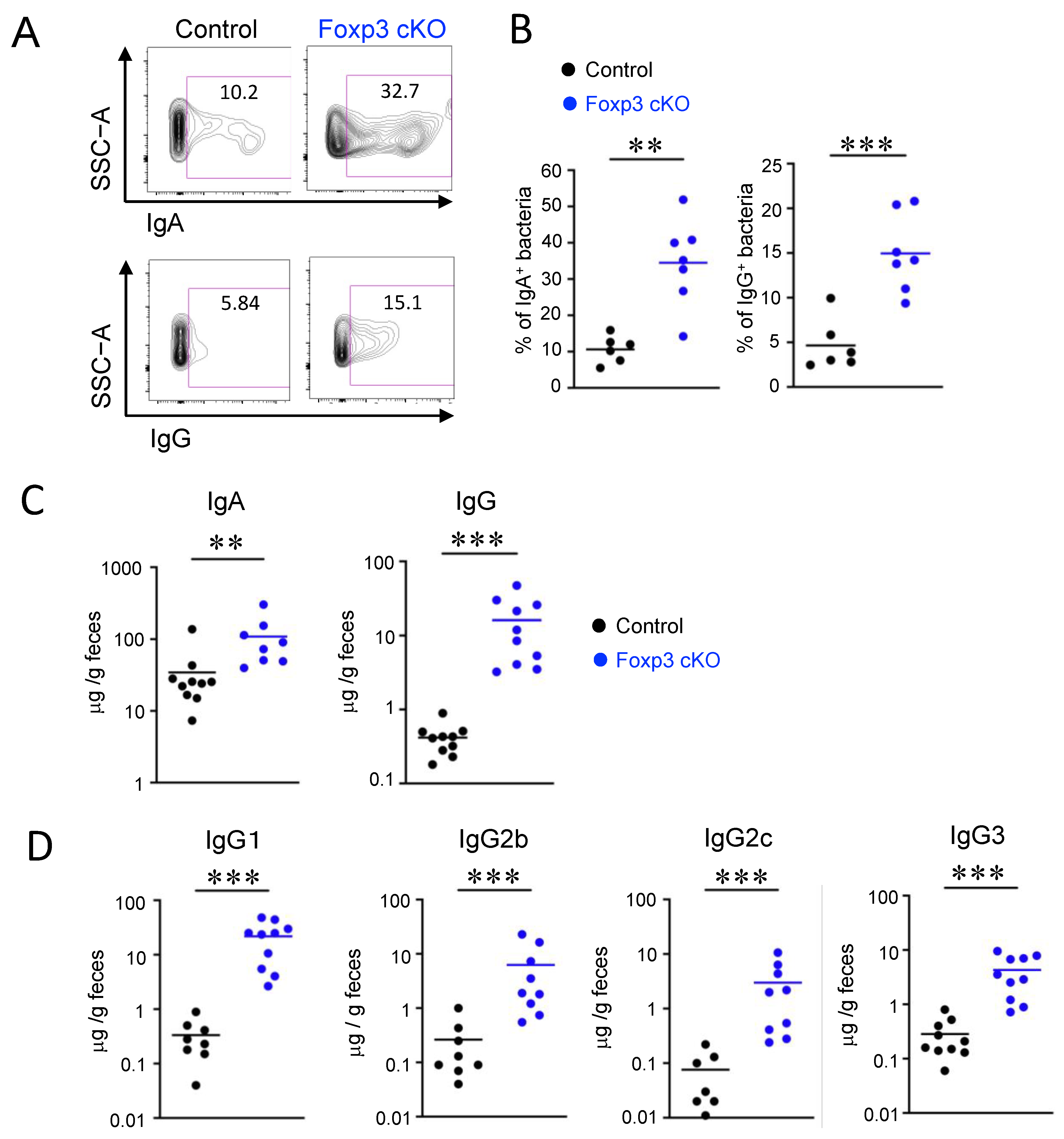 Ijms 24 08549 g002 Ijms 24 08549 g002