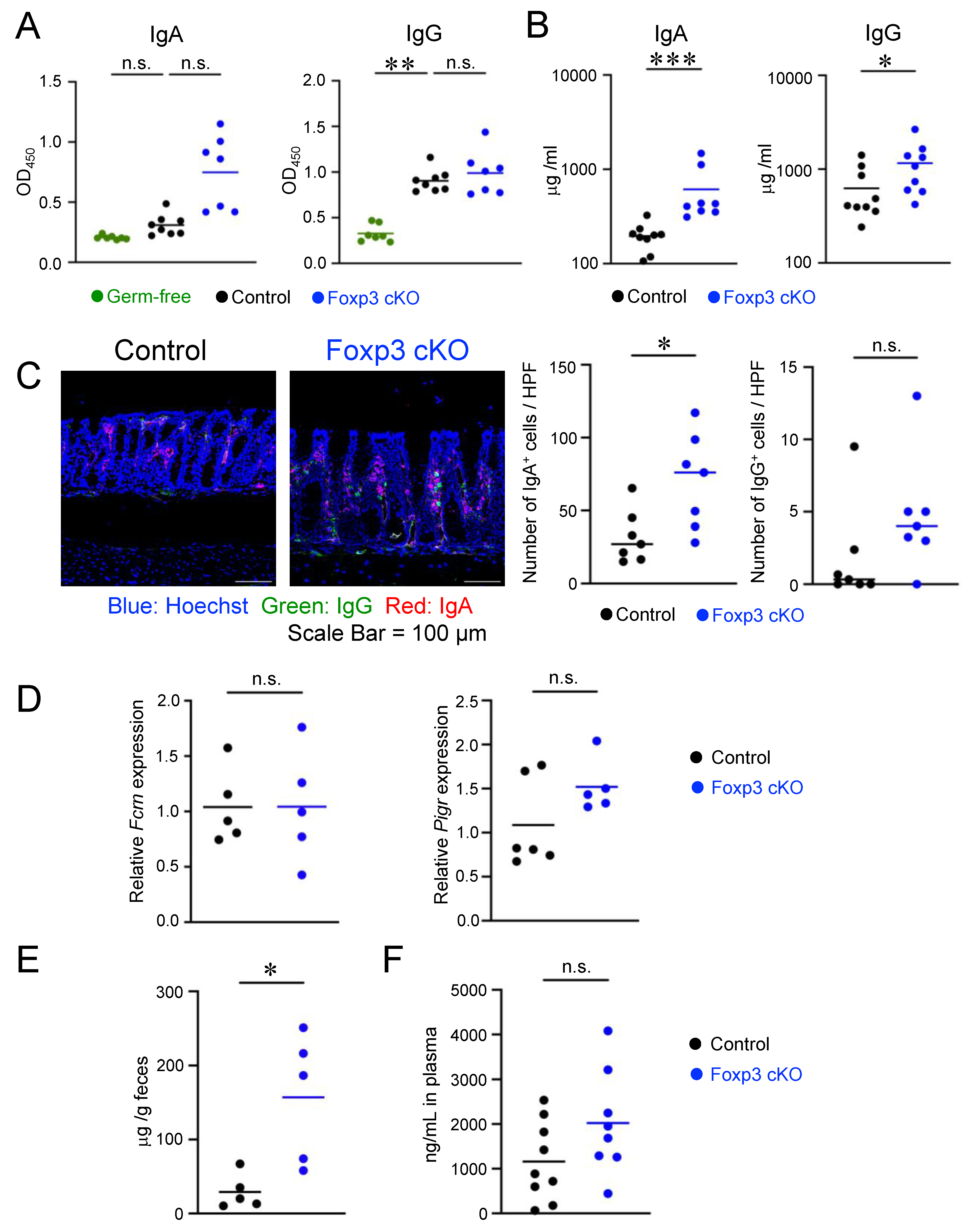 Ijms 24 08549 g003 Ijms 24 08549 g003