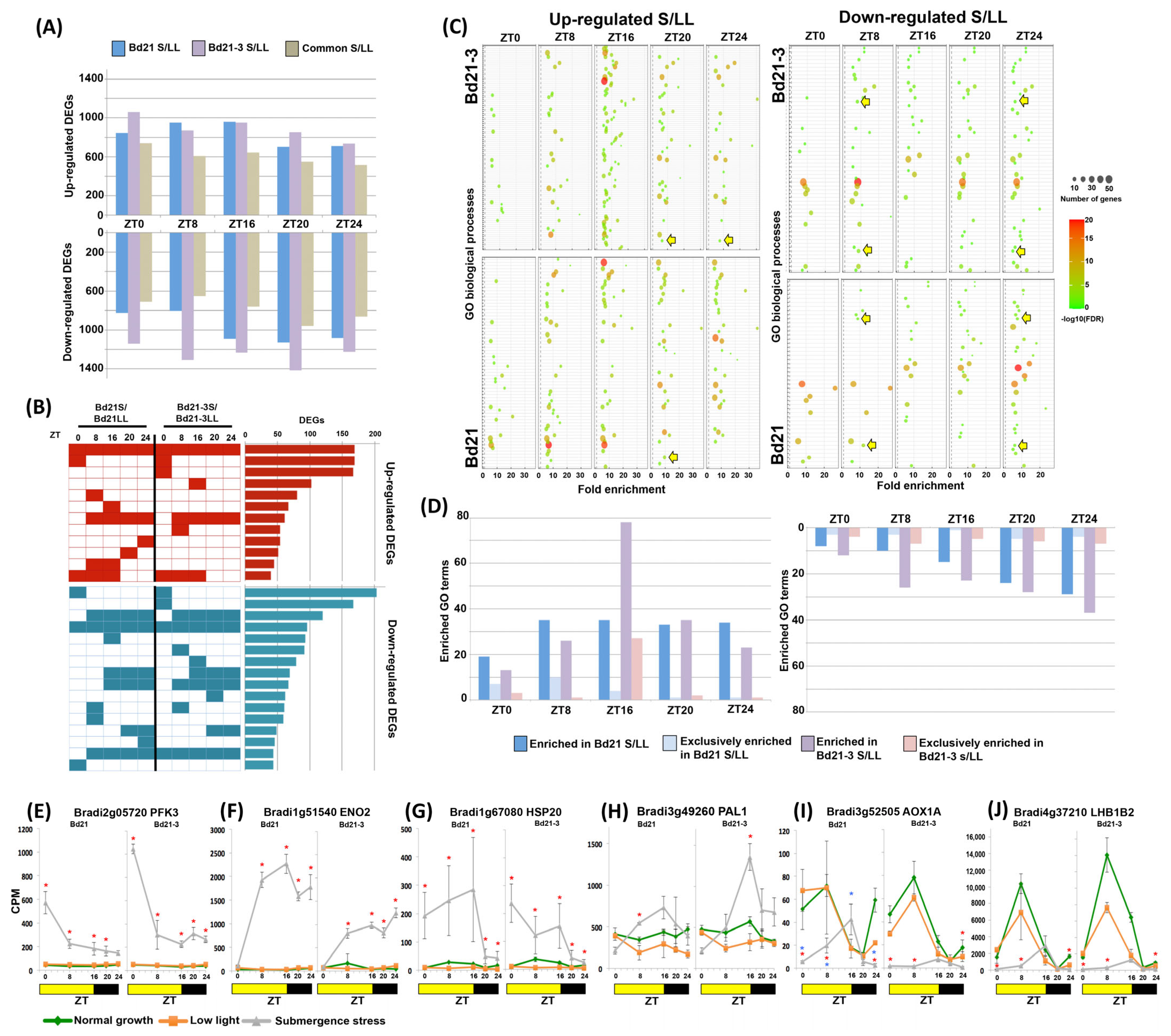 Ijms 24 08555 g002 Ijms 24 08555 g002