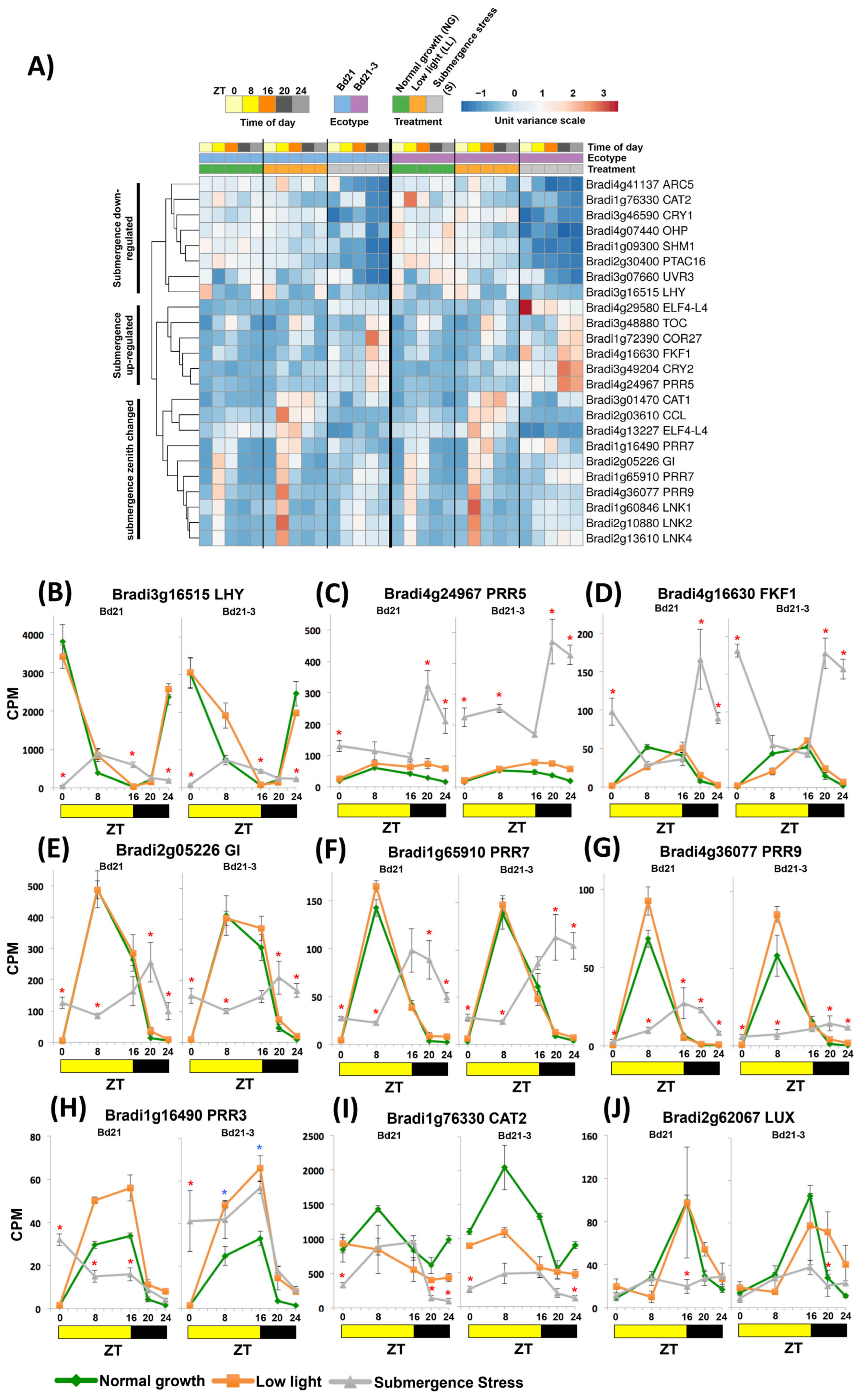 Ijms 24 08555 g003 Ijms 24 08555 g003