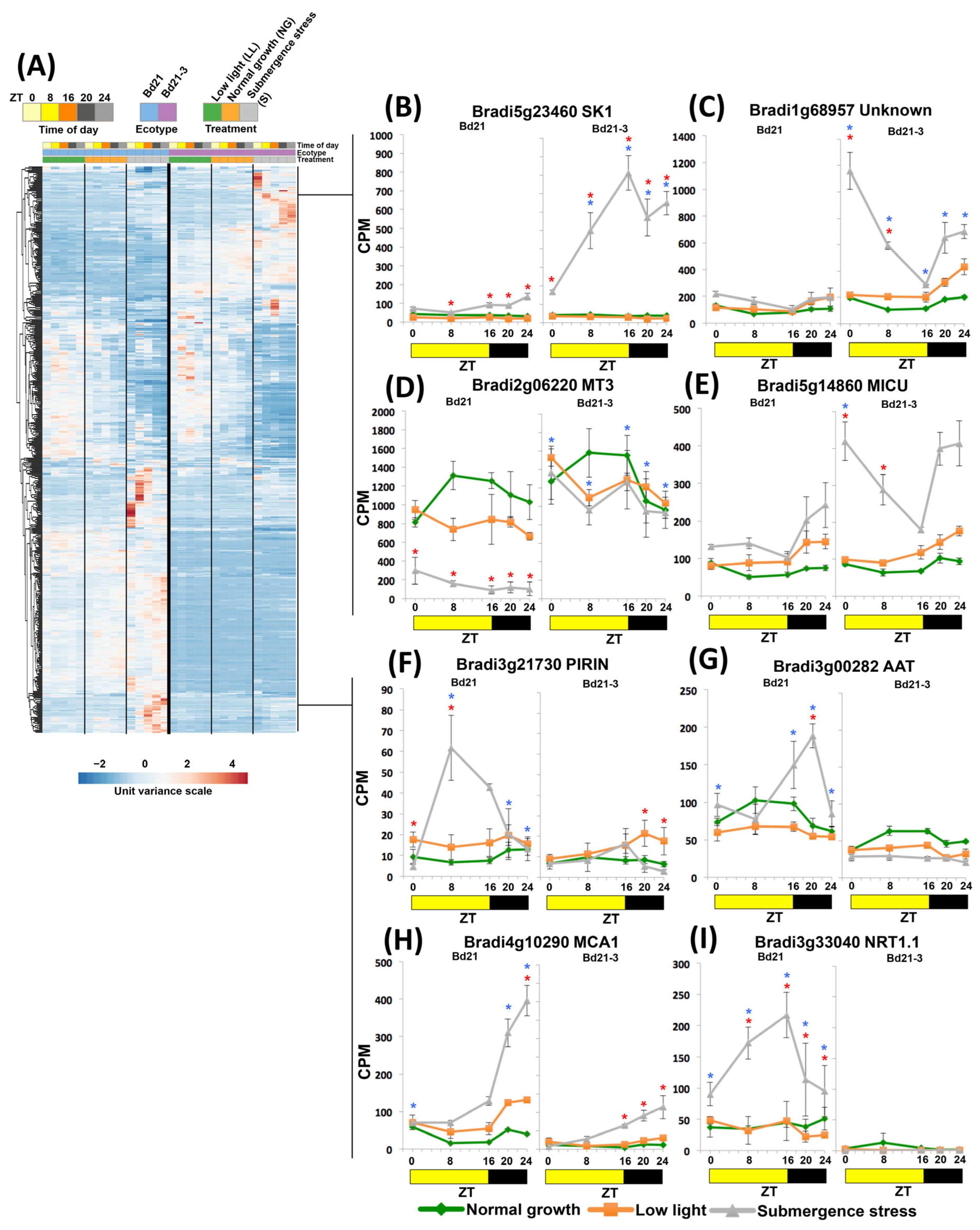 Ijms 24 08555 g006 Ijms 24 08555 g006