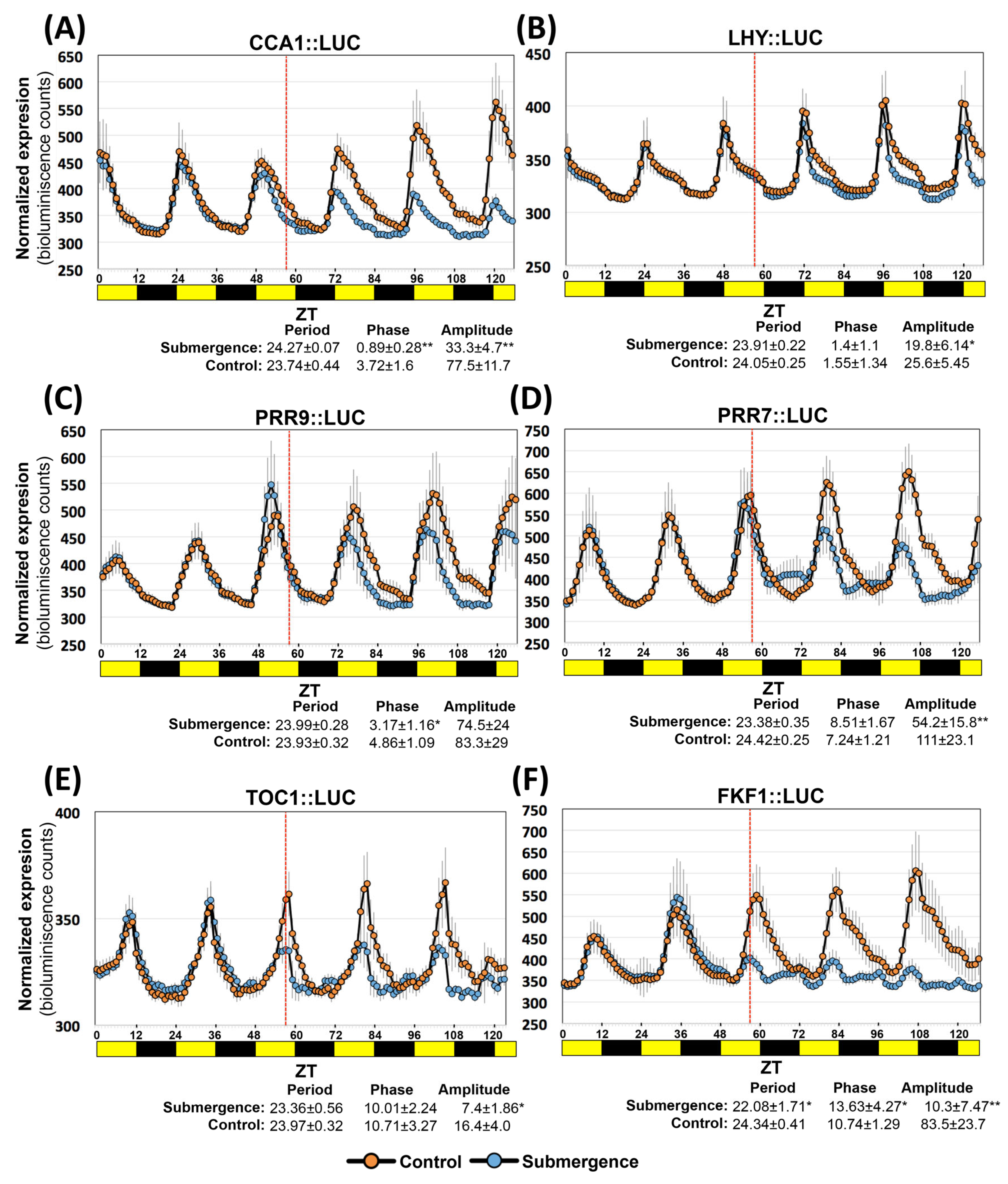 Ijms 24 08555 g007 Ijms 24 08555 g007