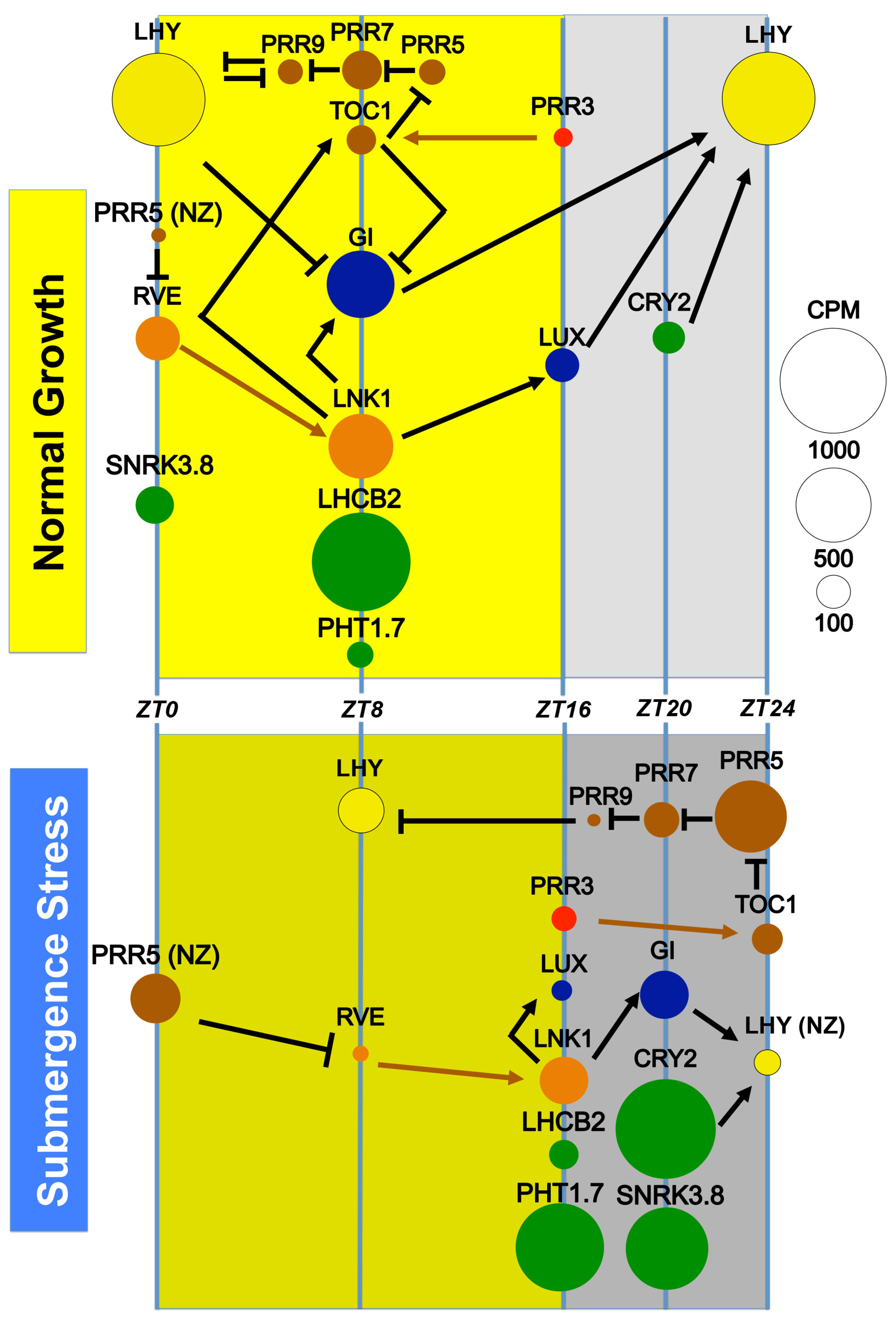 Ijms 24 08555 g009 Ijms 24 08555 g009