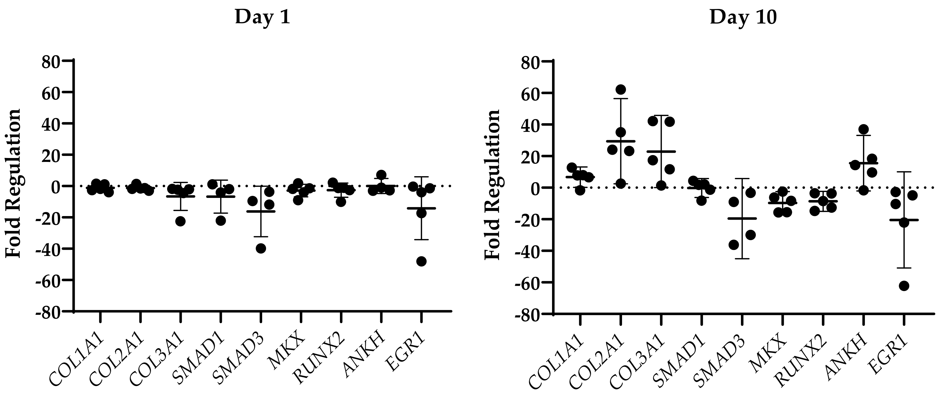 Ijms 24 08556 g004 Ijms 24 08556 g004