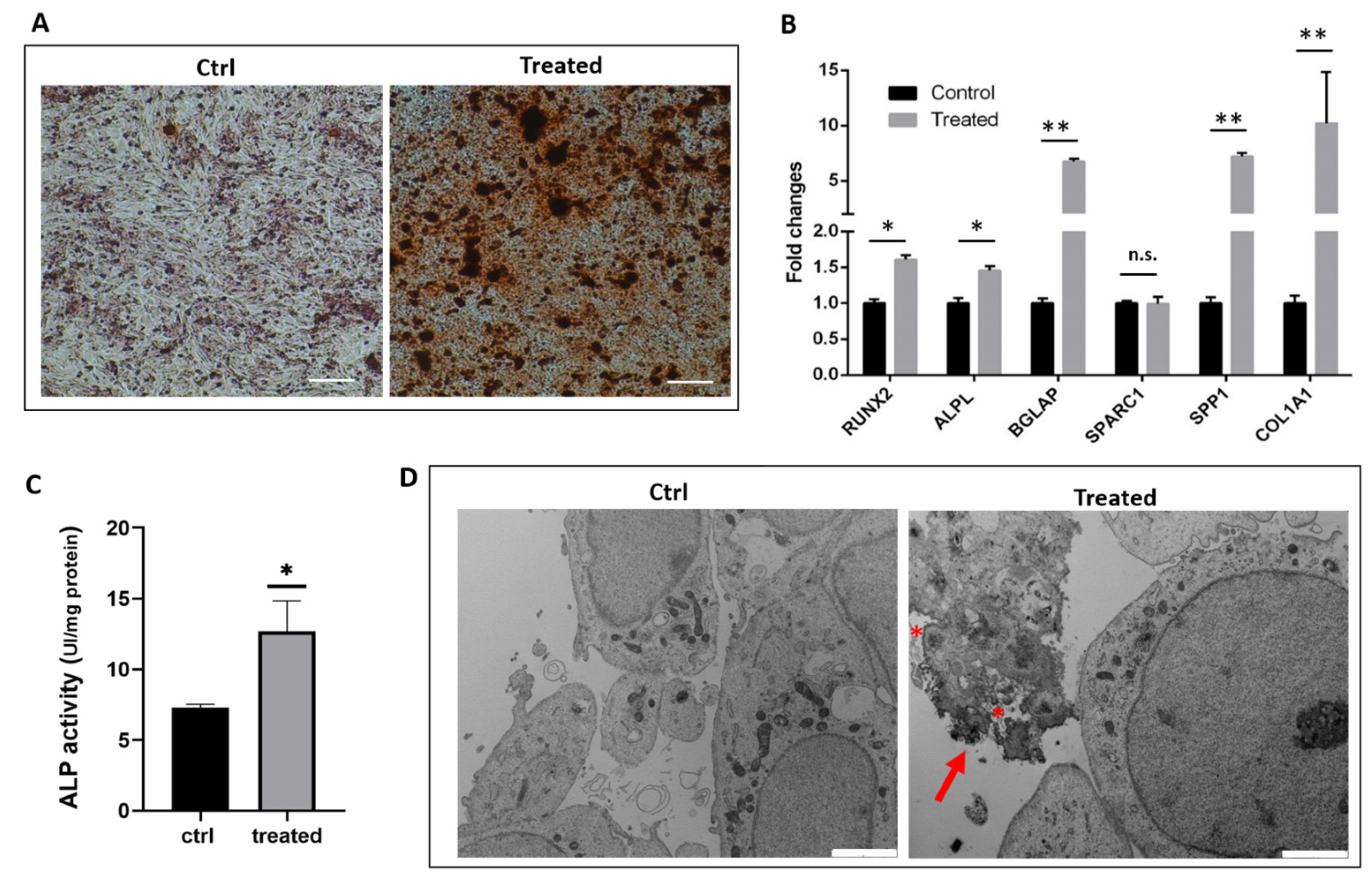 Ijms 24 08559 g001 Ijms 24 08559 g001