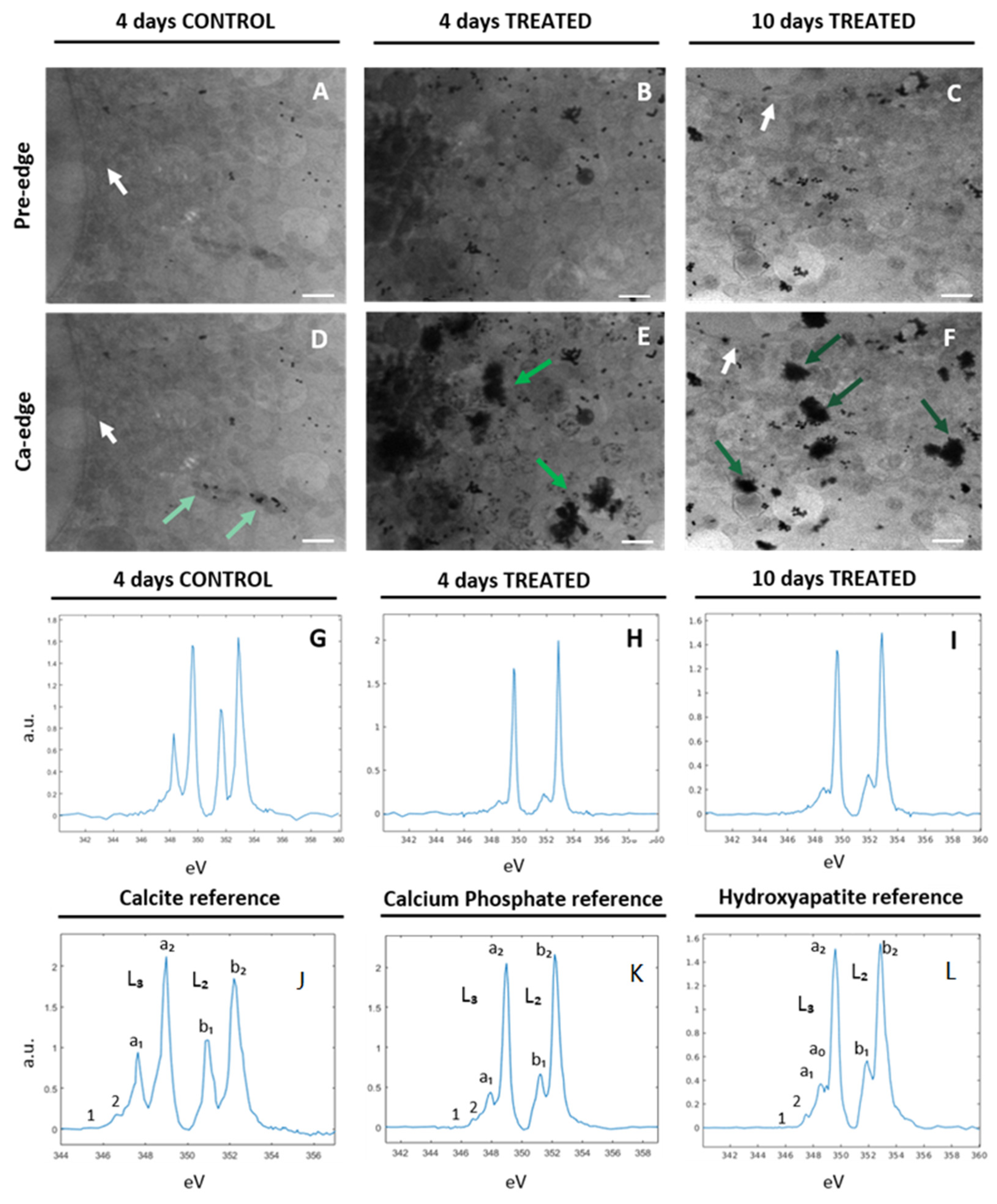 Ijms 24 08559 g002 Ijms 24 08559 g002
