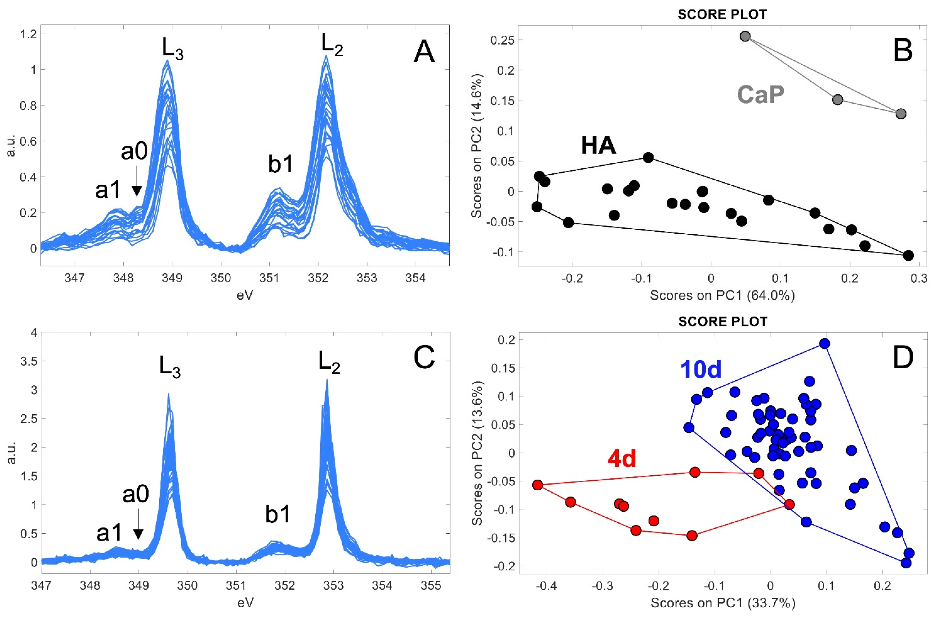 Ijms 24 08559 g003 Ijms 24 08559 g003