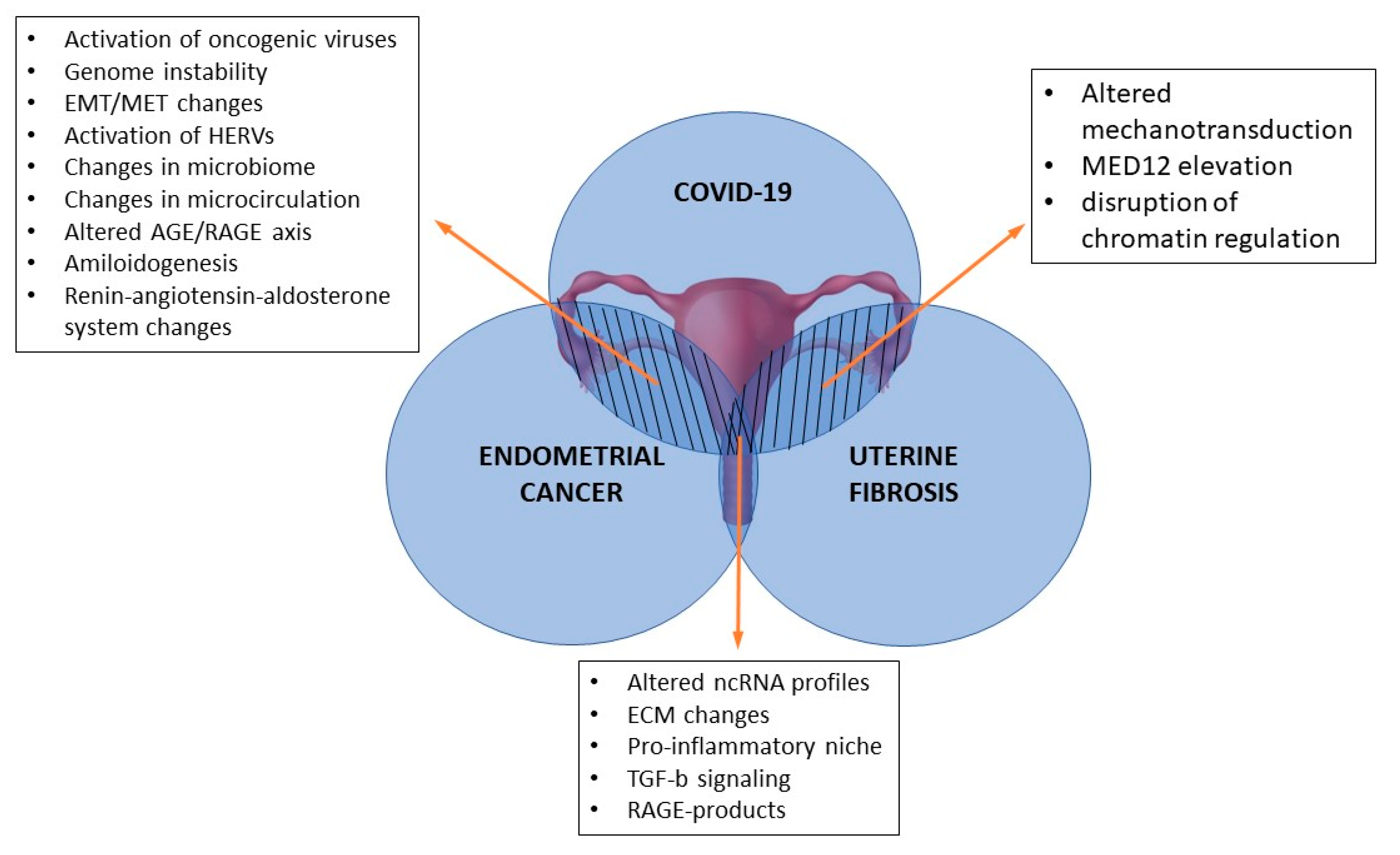 IJMS | Free Full-Text | COVID-19—The Shift of Homeostasis