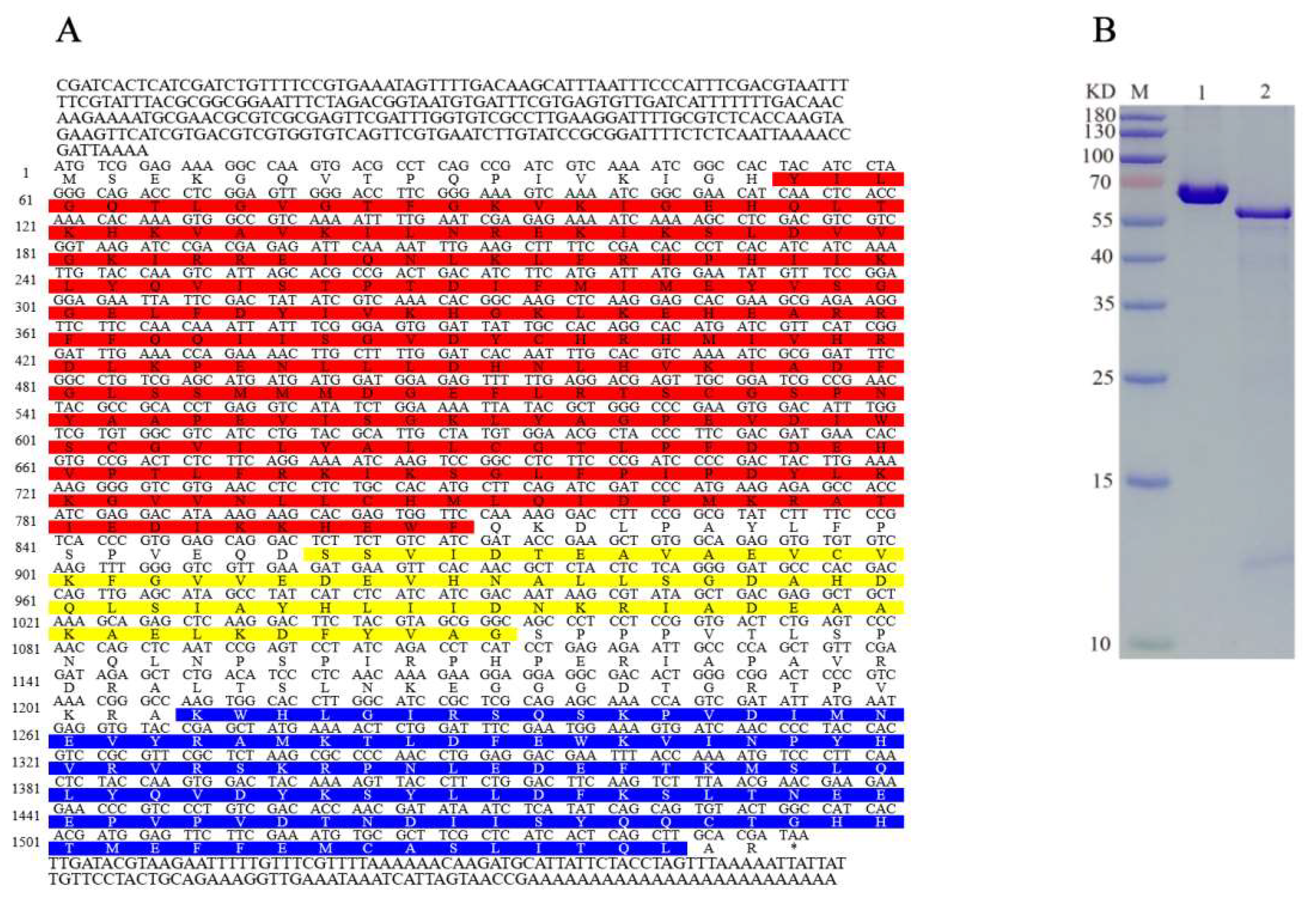 Ijms 24 08587 g001 Ijms 24 08587 g001