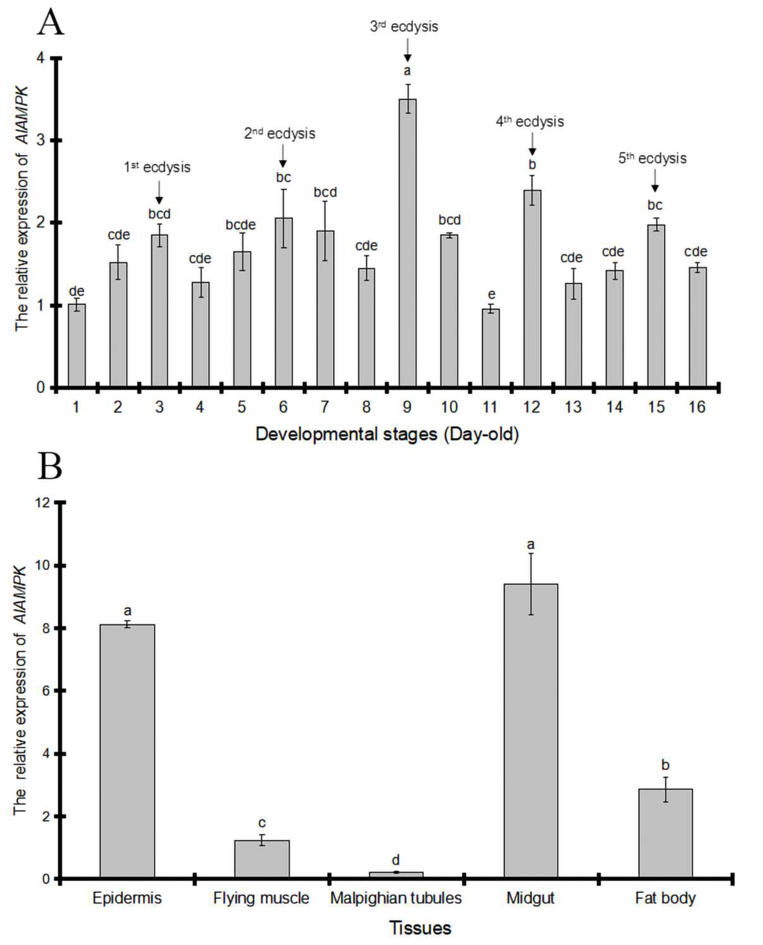 Ijms 24 08587 g004 Ijms 24 08587 g004