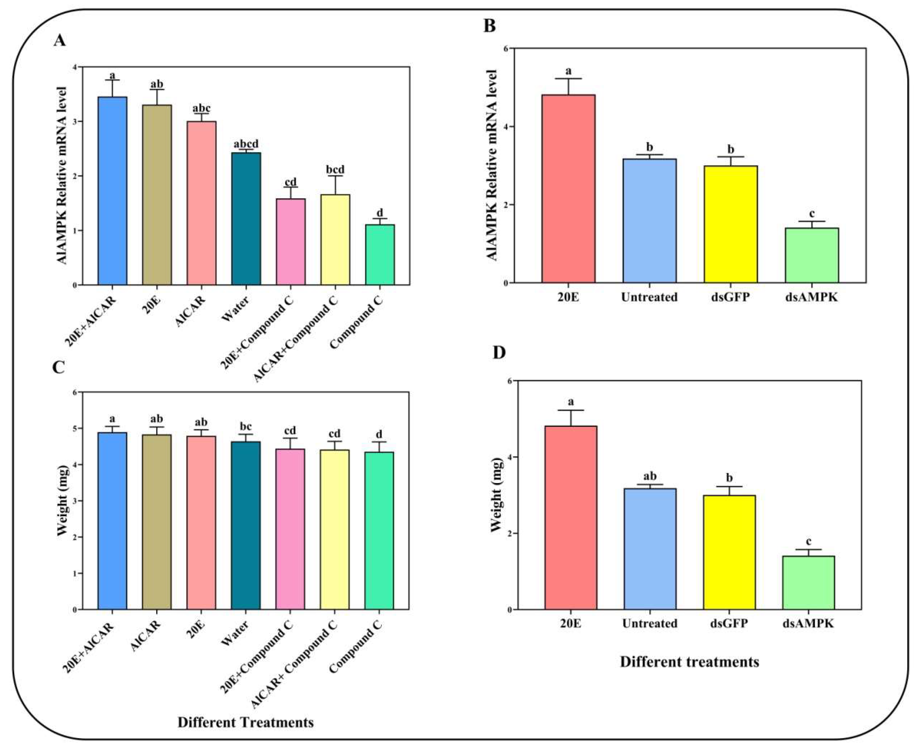 Ijms 24 08587 g005 Ijms 24 08587 g005