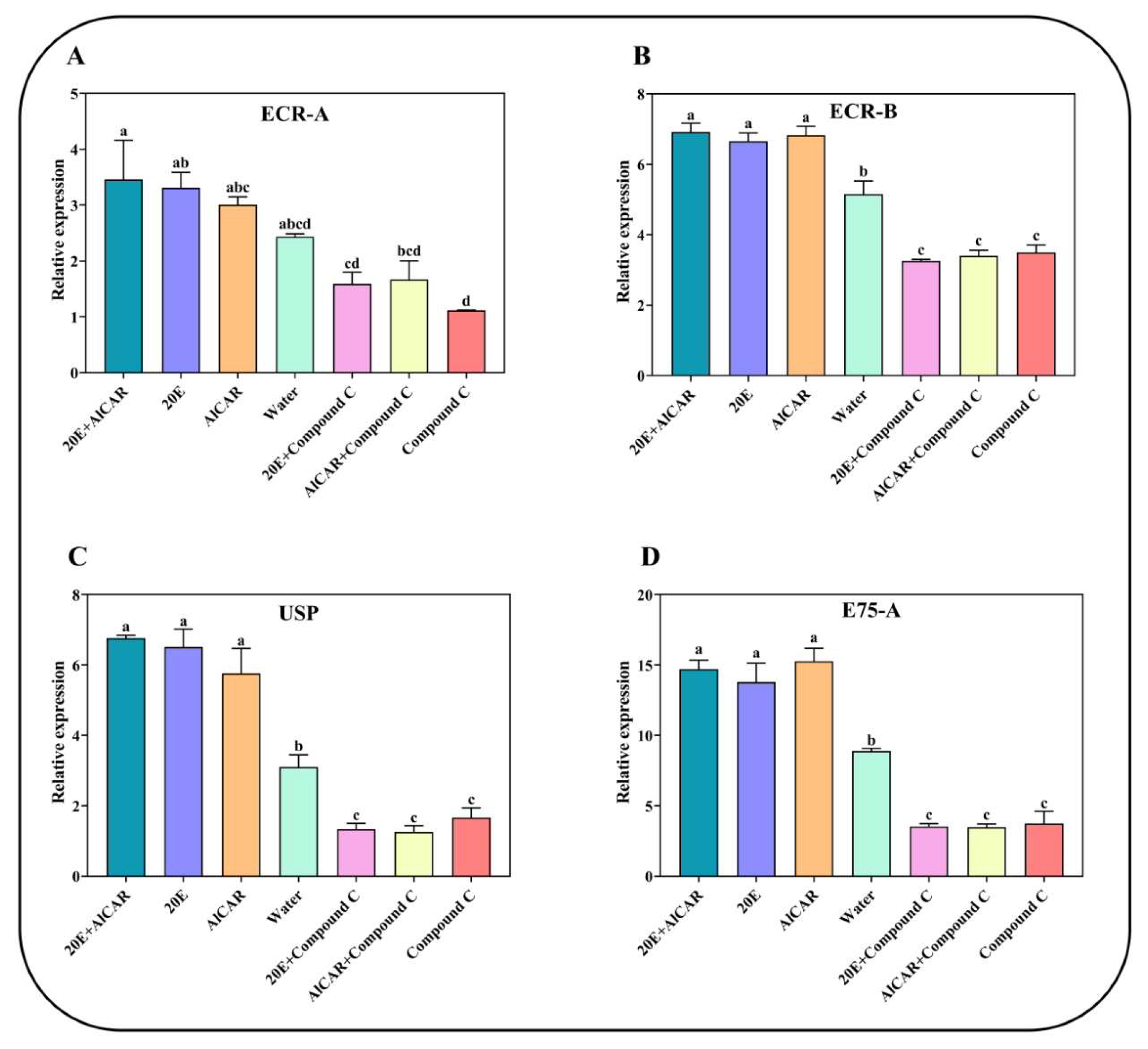 Ijms 24 08587 g006 Ijms 24 08587 g006
