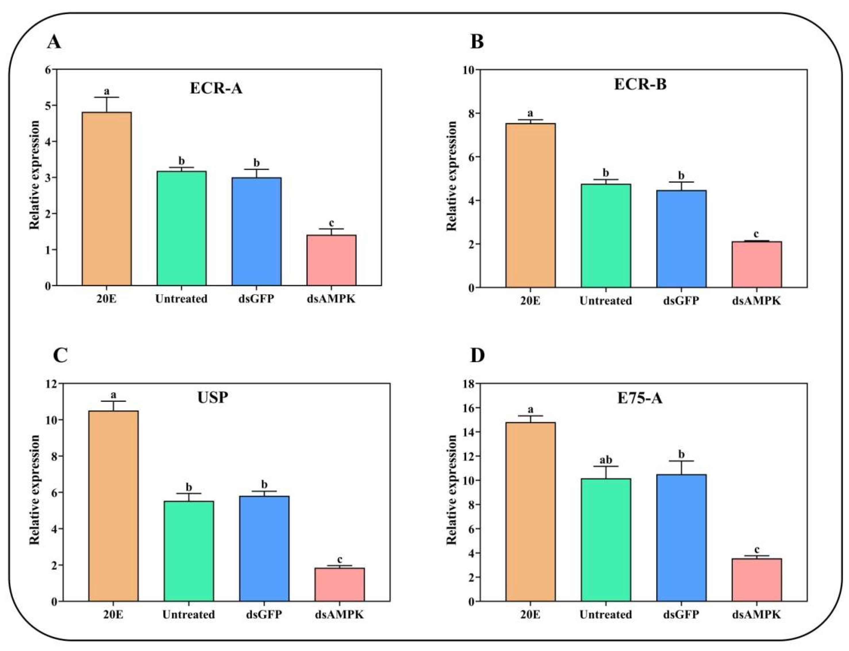 Ijms 24 08587 g007 Ijms 24 08587 g007