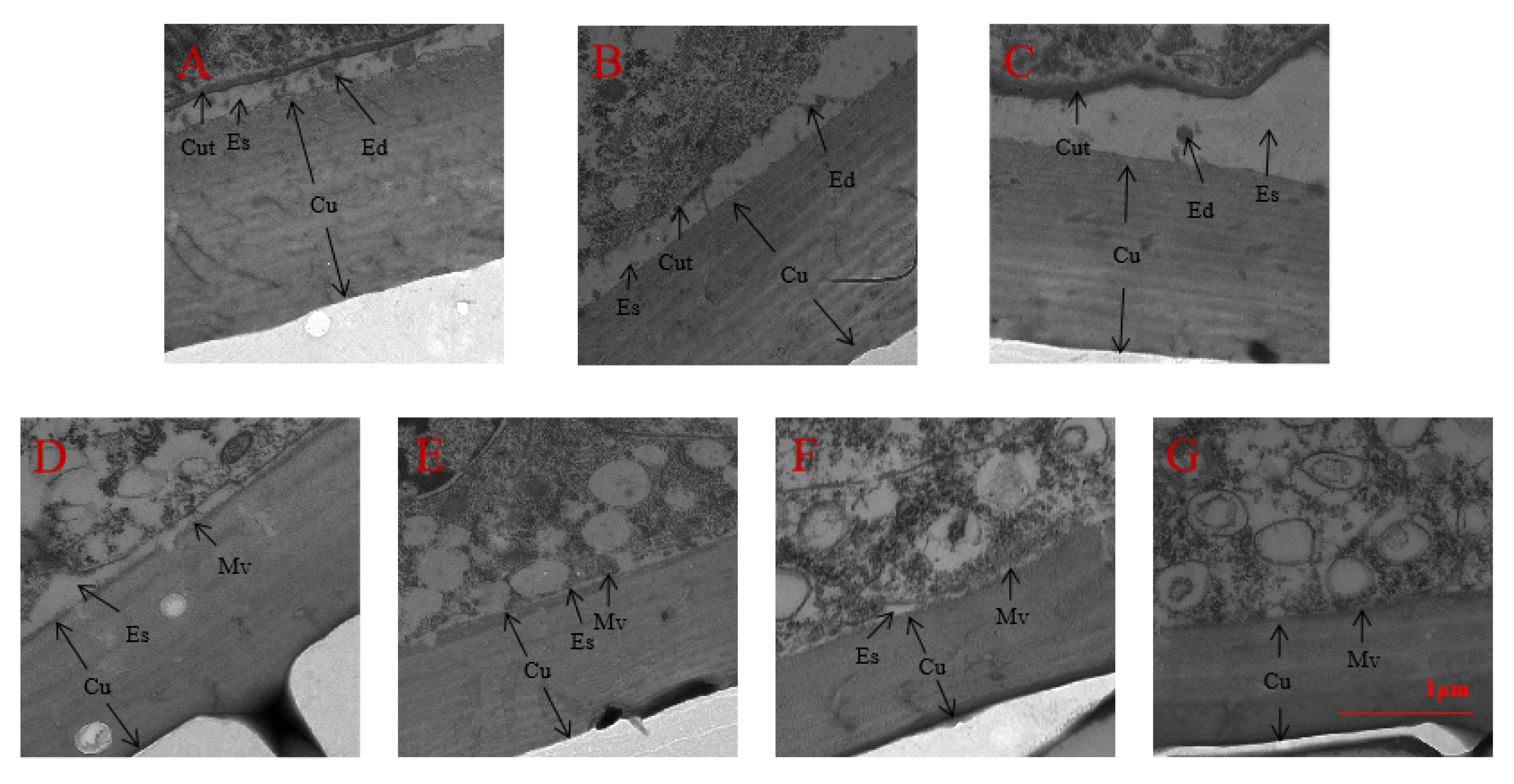 Ijms 24 08587 g008 Ijms 24 08587 g008