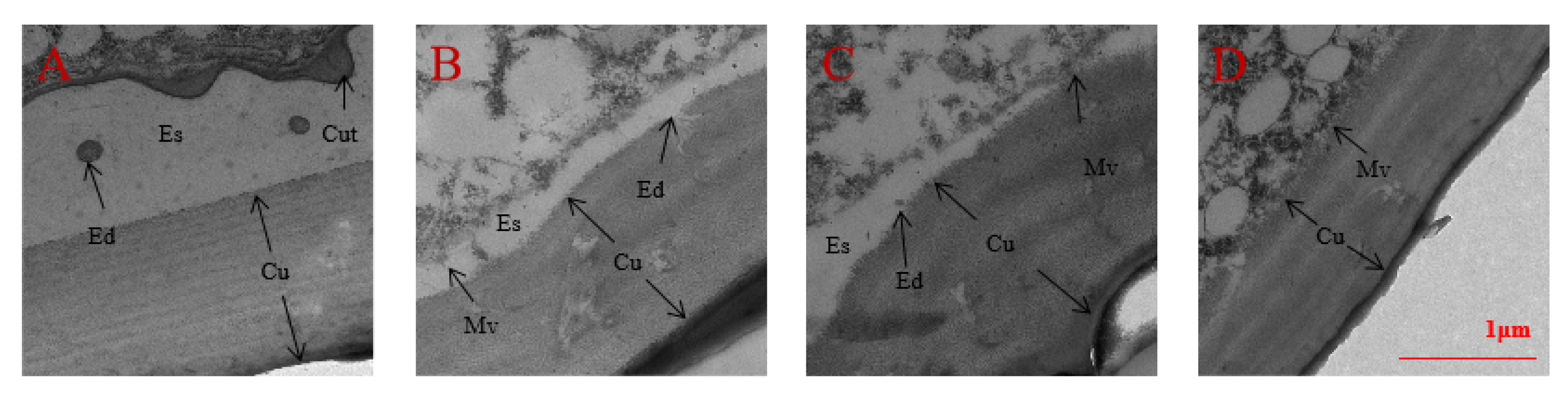 Ijms 24 08587 g009 Ijms 24 08587 g009