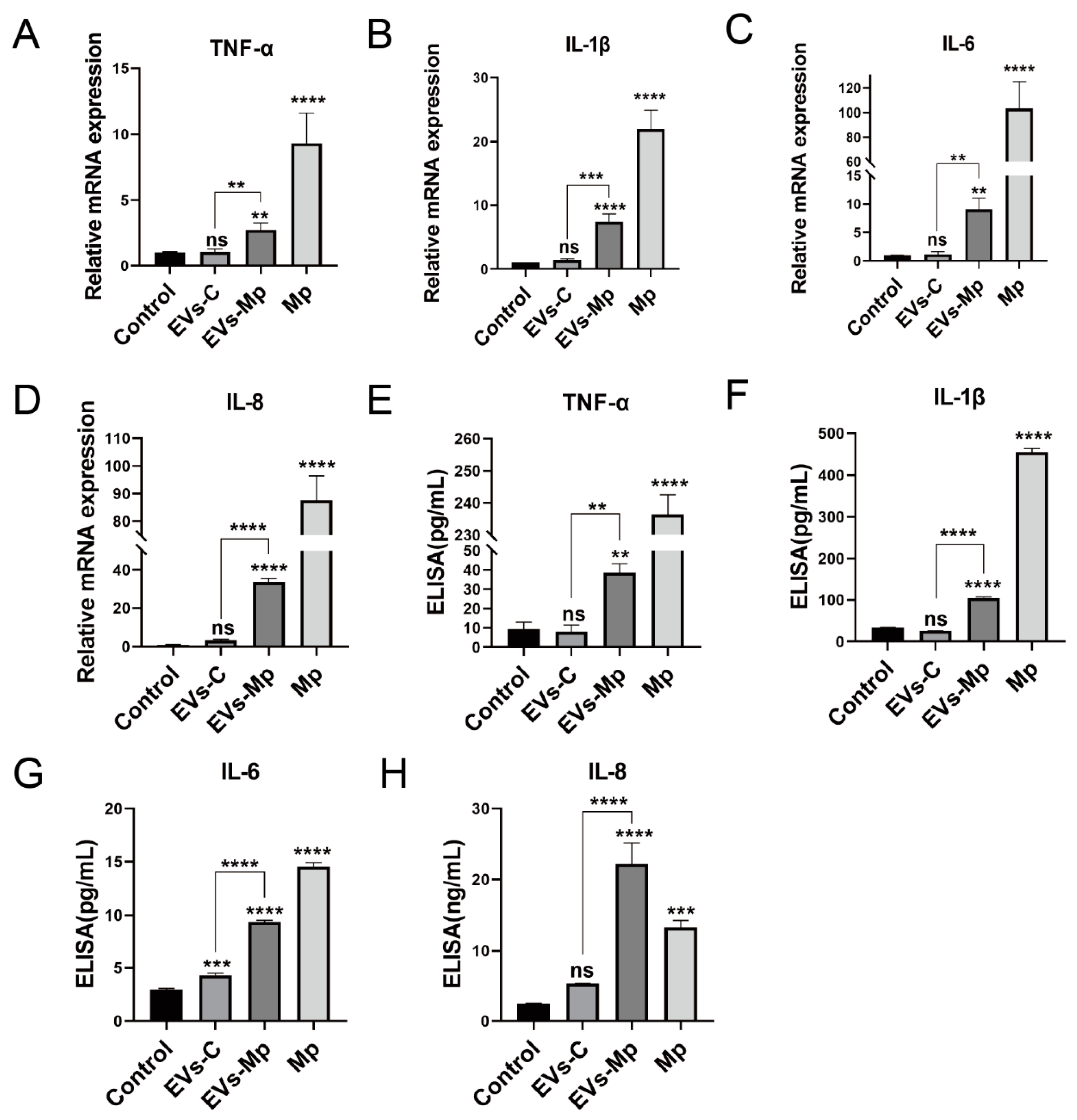 Ijms 24 08588 g004 Ijms 24 08588 g004
