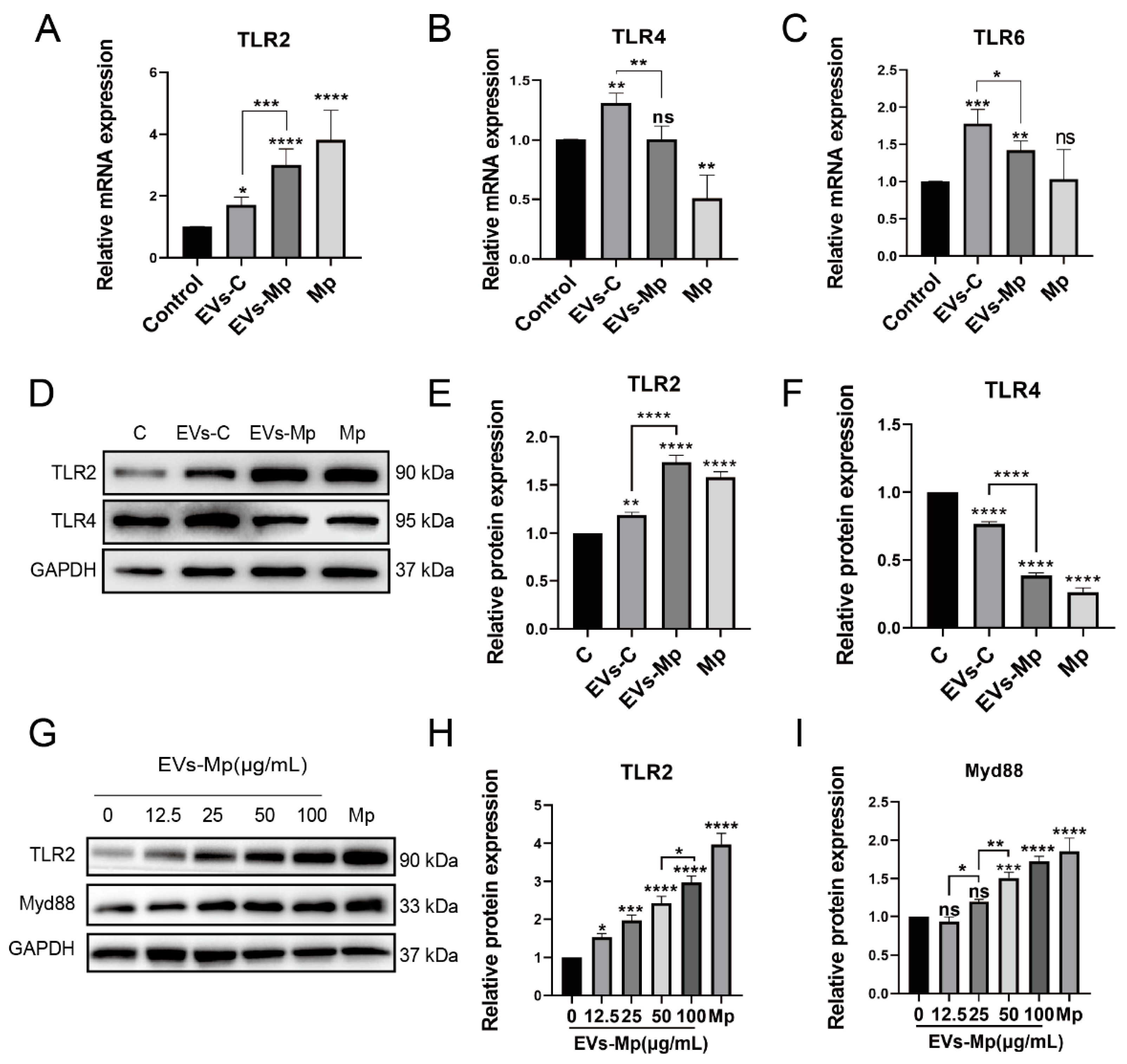 Ijms 24 08588 g005 Ijms 24 08588 g005
